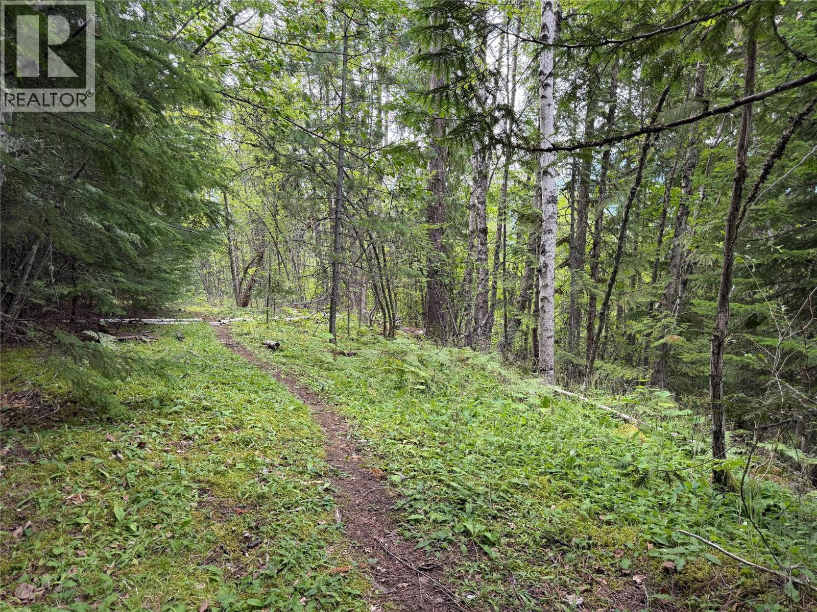 Choquette Avenue Lot# 4 Property Photo 9