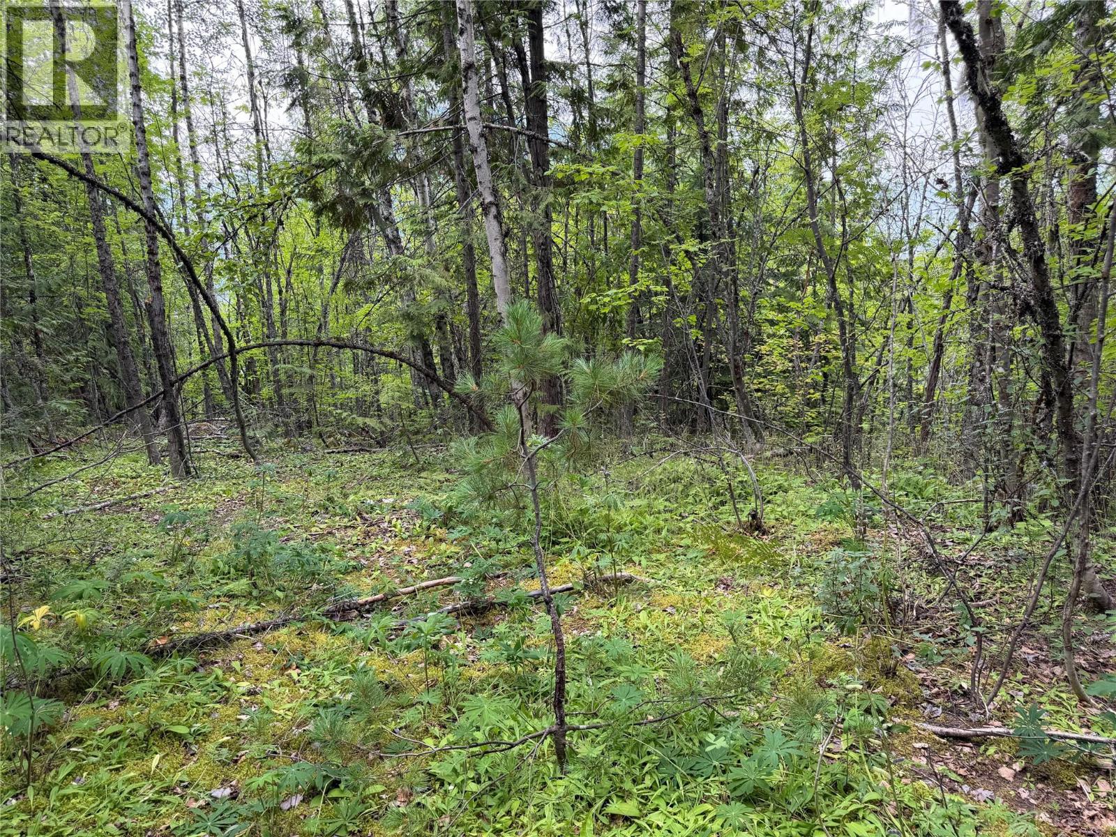Choquette Avenue Lot# 4 Property Photo 11