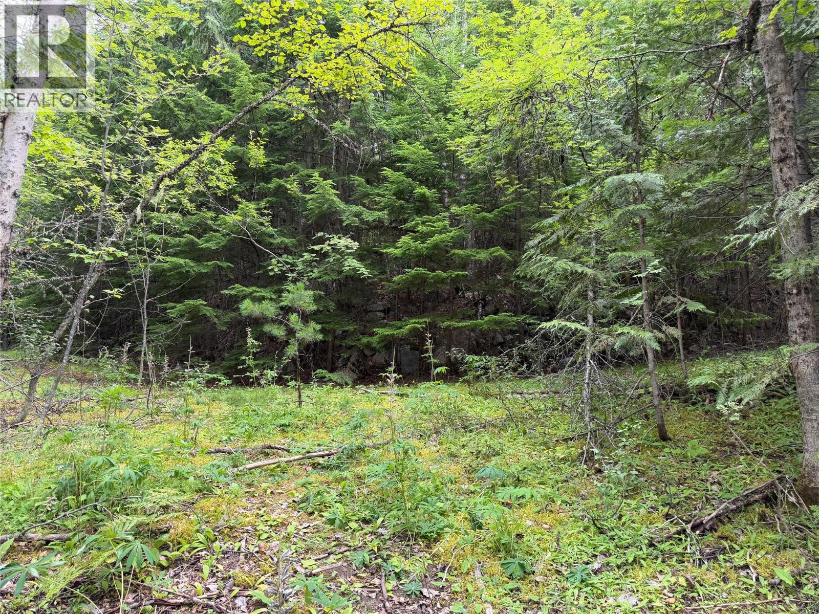 Choquette Avenue Lot# 4 Property Photo 12