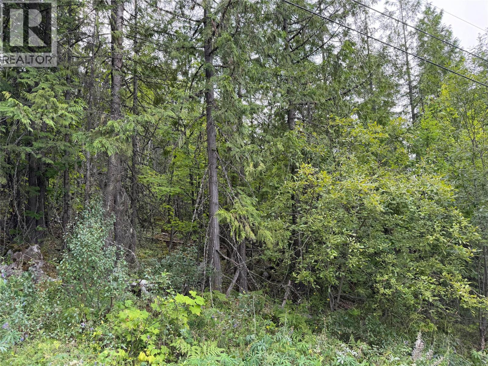 Choquette Avenue Lot# 4 Property Photo 13