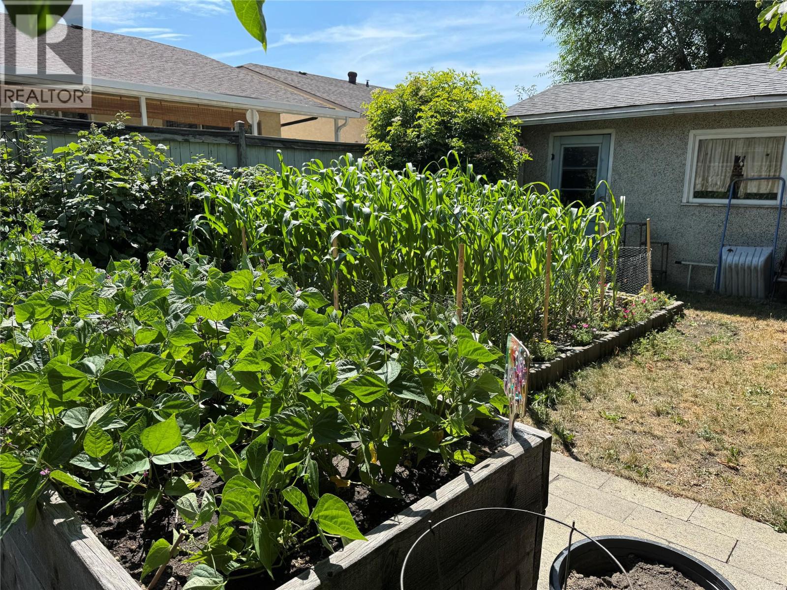 4309 22 Street Property Photo 18