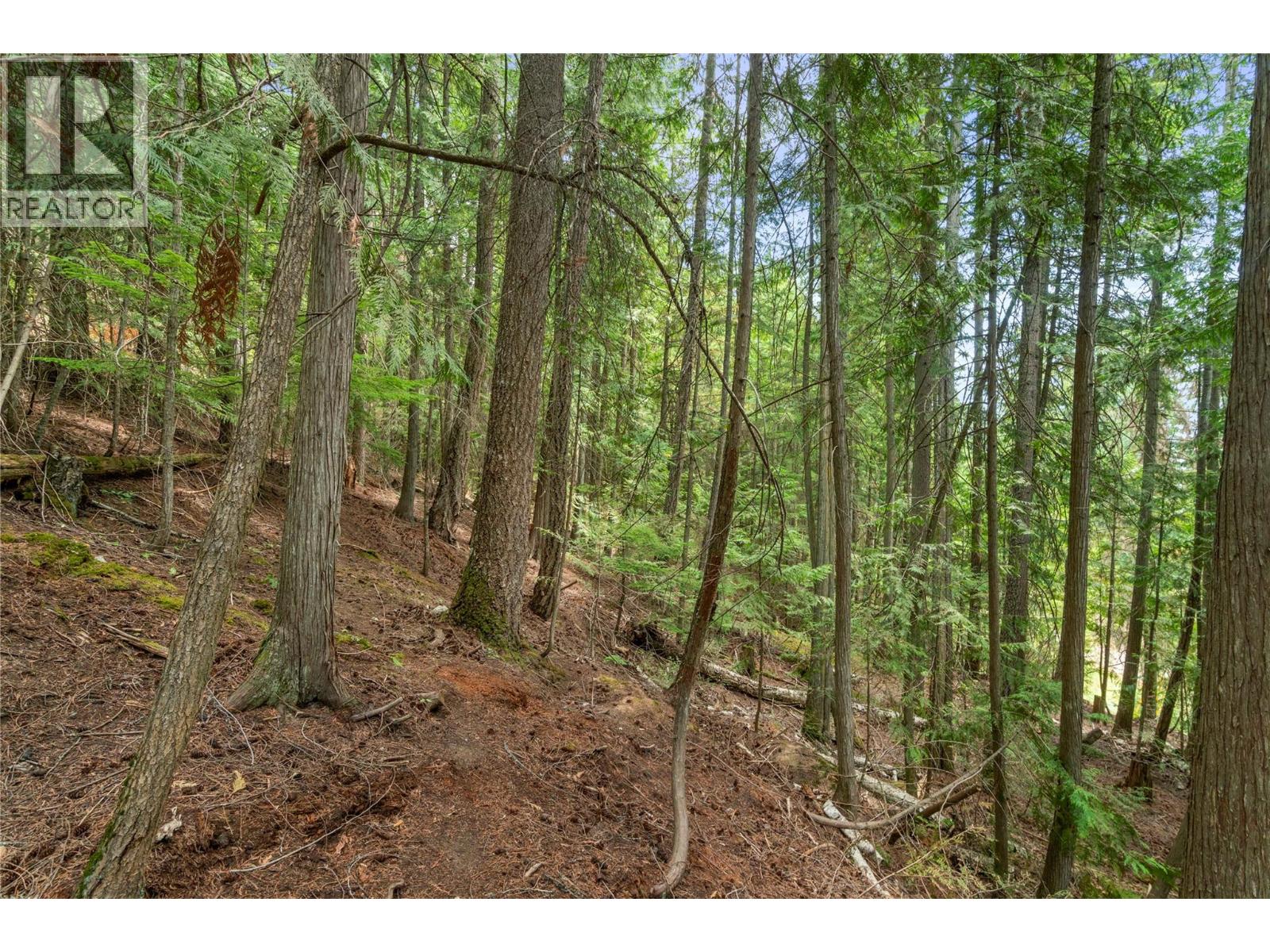 7621 Hudson Road Property Photo 36