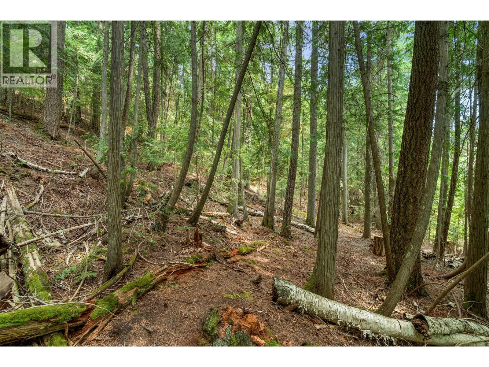 7621 Hudson Road Property Photo 39