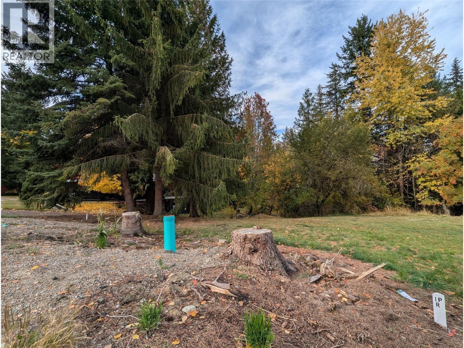 802 Gore Street W Property Photo 5