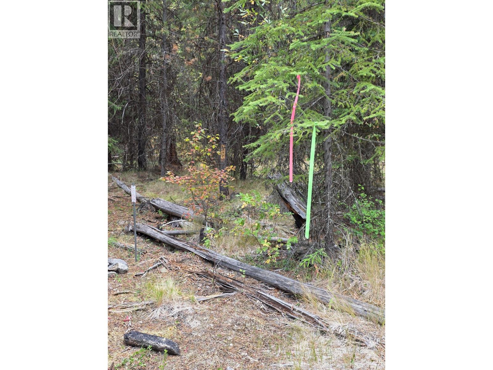 Km15 Nicholson Creek Road Property Photo 42