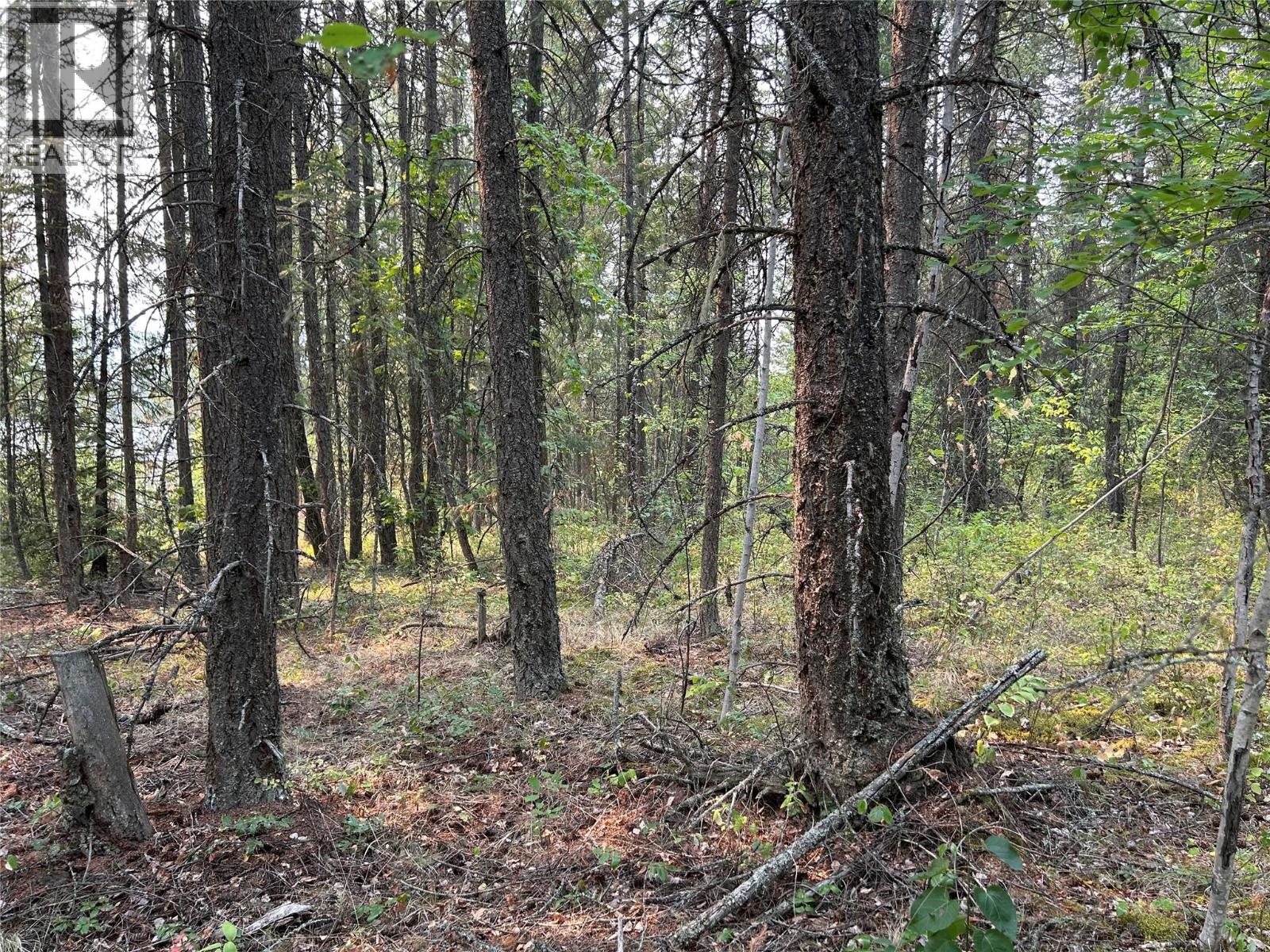 8568 Black Mountain Road Property Photo 11