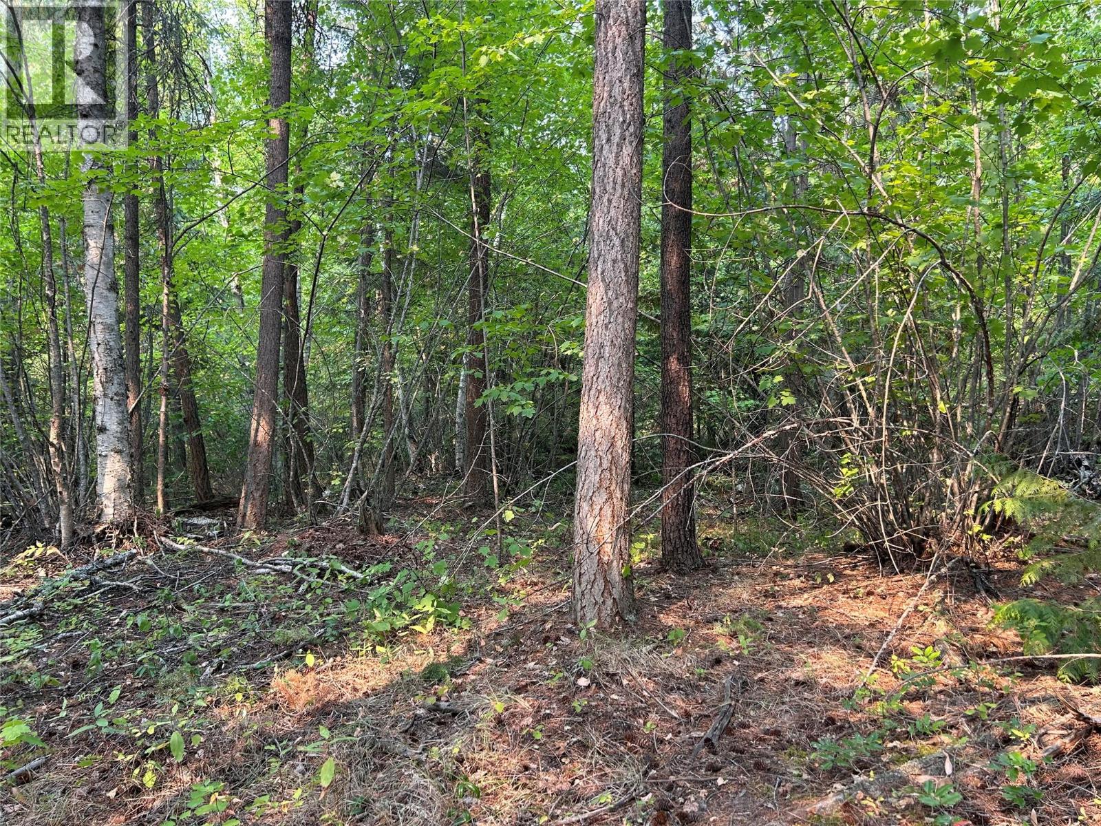 8568 Black Mountain Road Property Photo 12