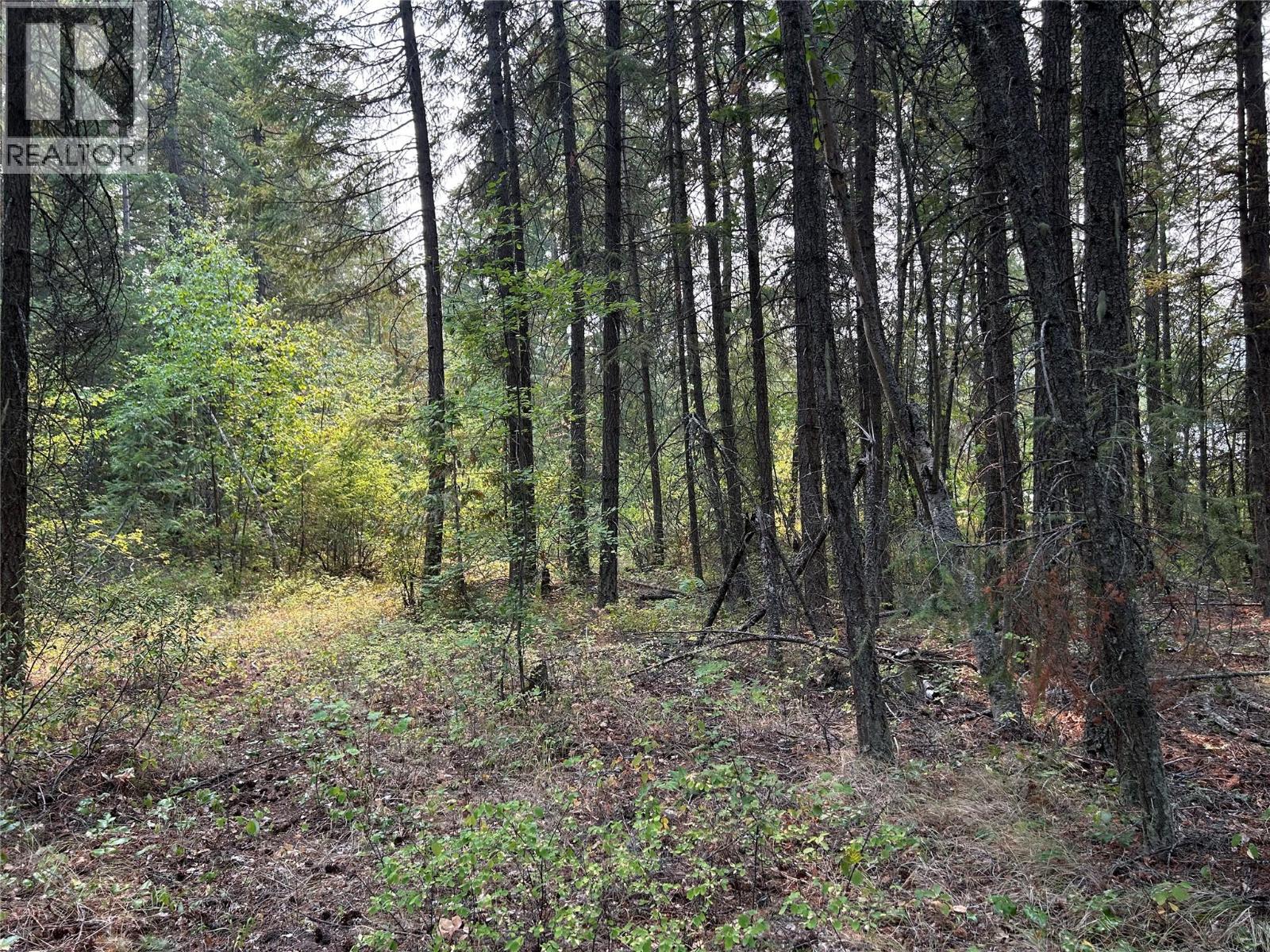 8568 Black Mountain Road Property Photo 13