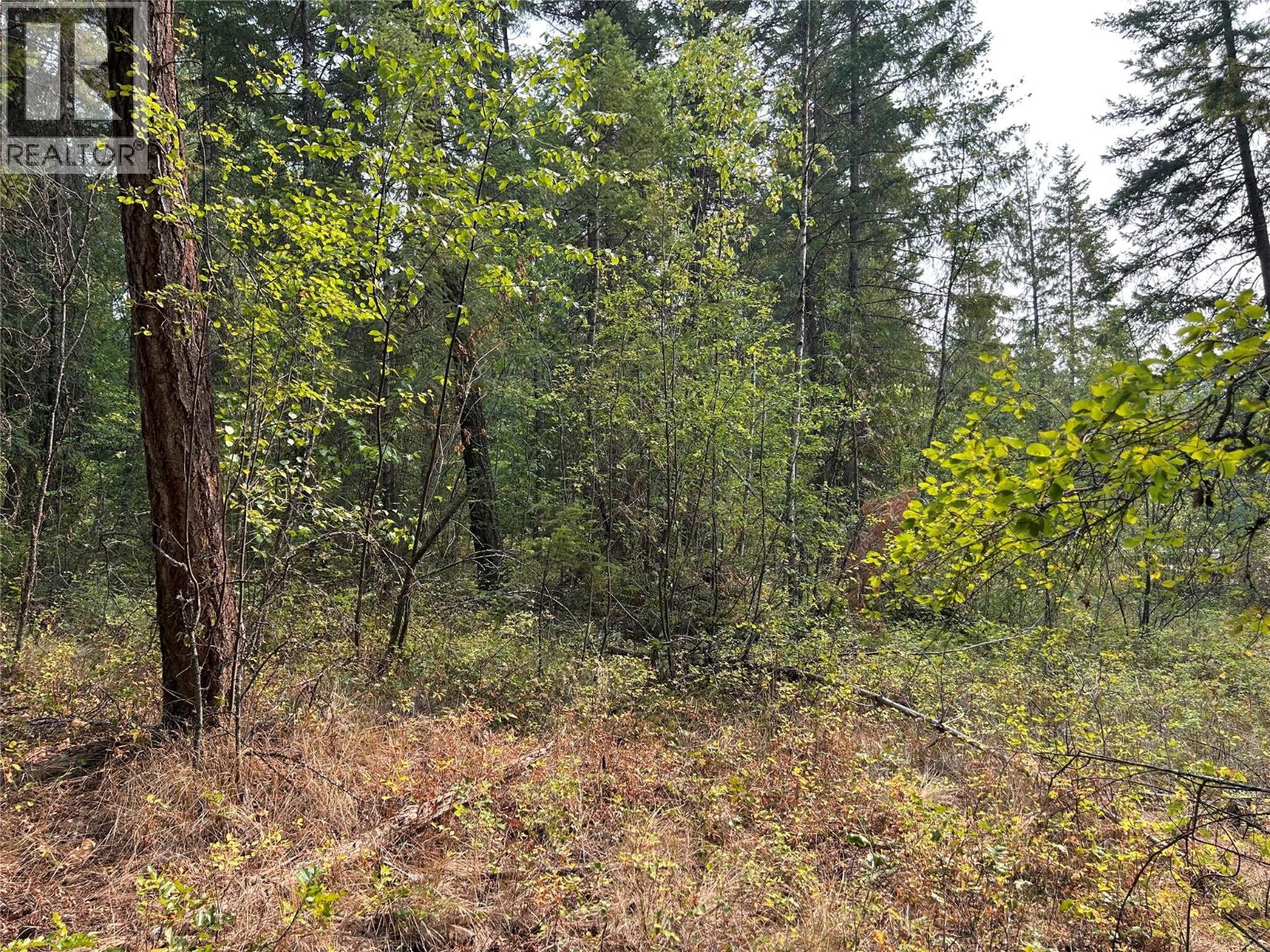 8568 Black Mountain Road Property Photo 14