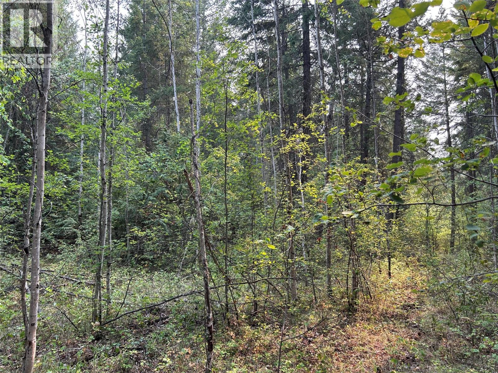8568 Black Mountain Road Property Photo 15