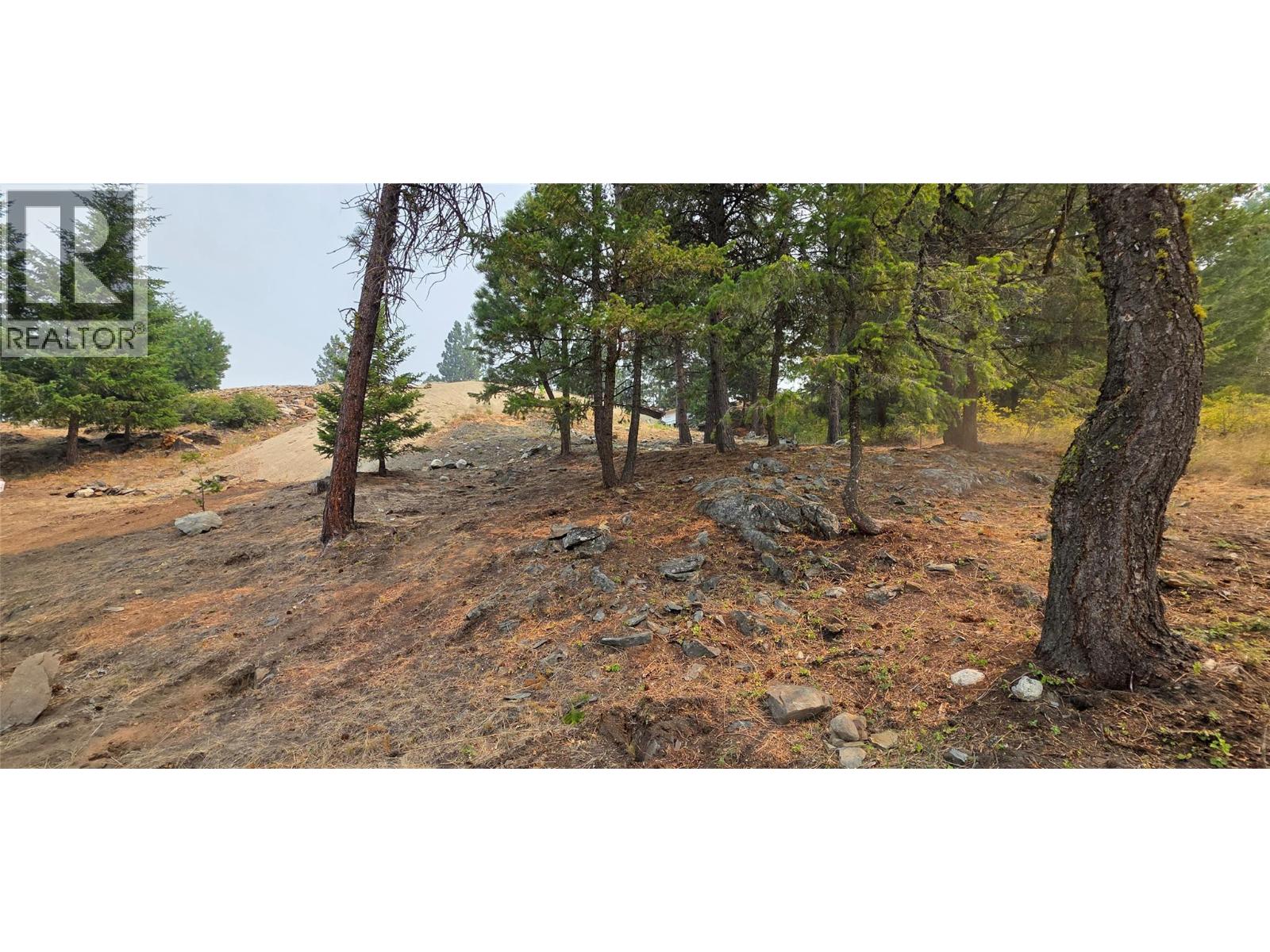 120 Sasquatch Court Property Photo 39