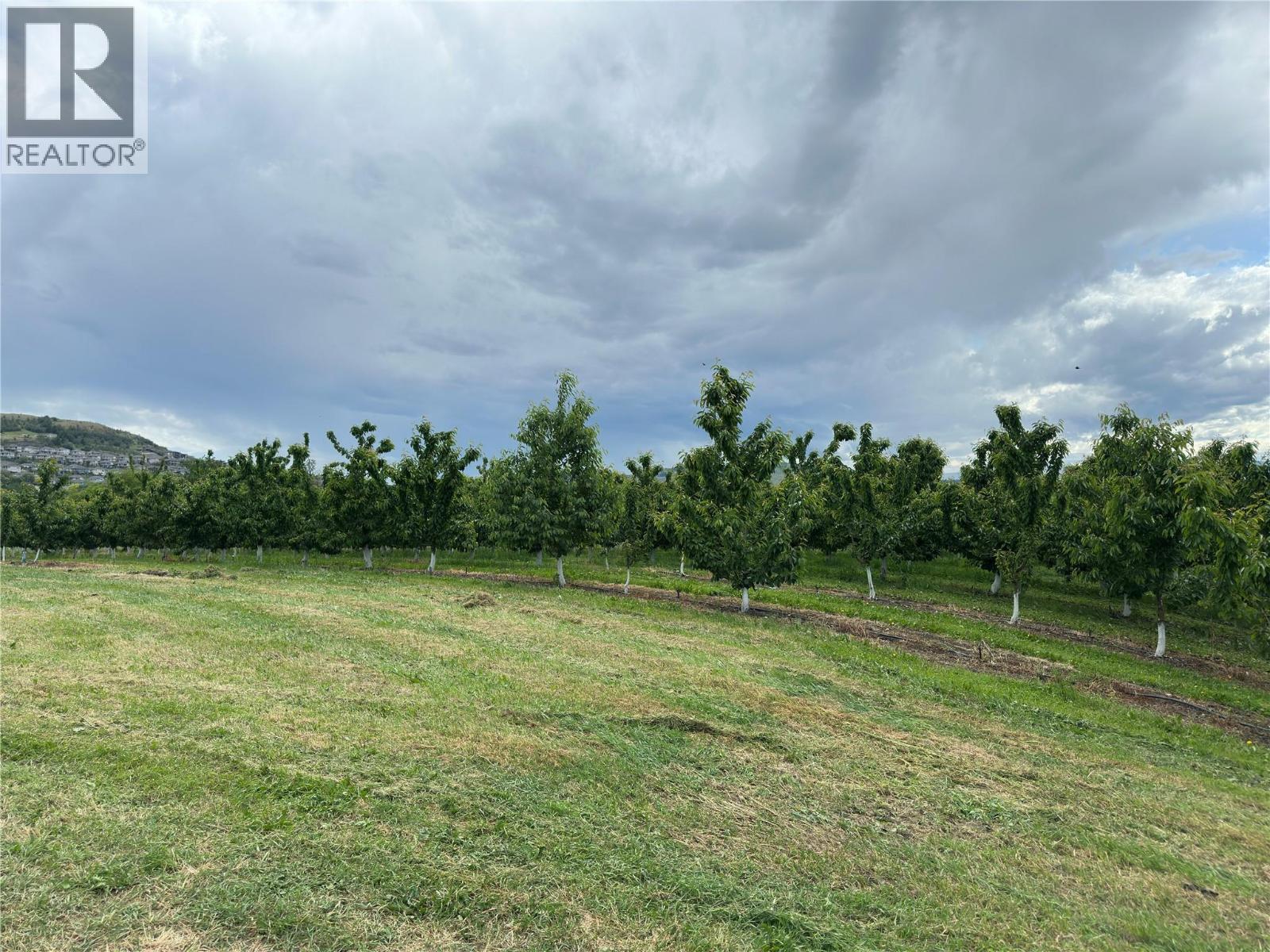 1102 Pottery Road Property Photo 4