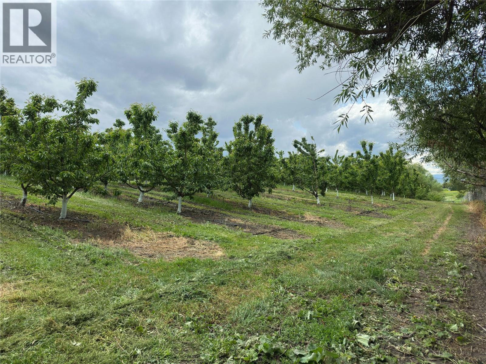 1102 Pottery Road Property Photo 10
