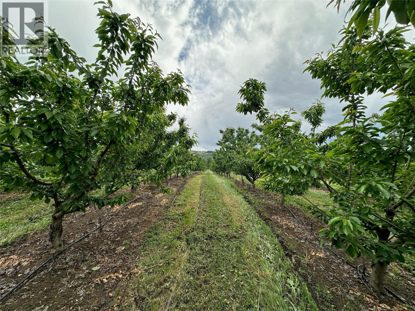 1102 Pottery Road Property Photo 17