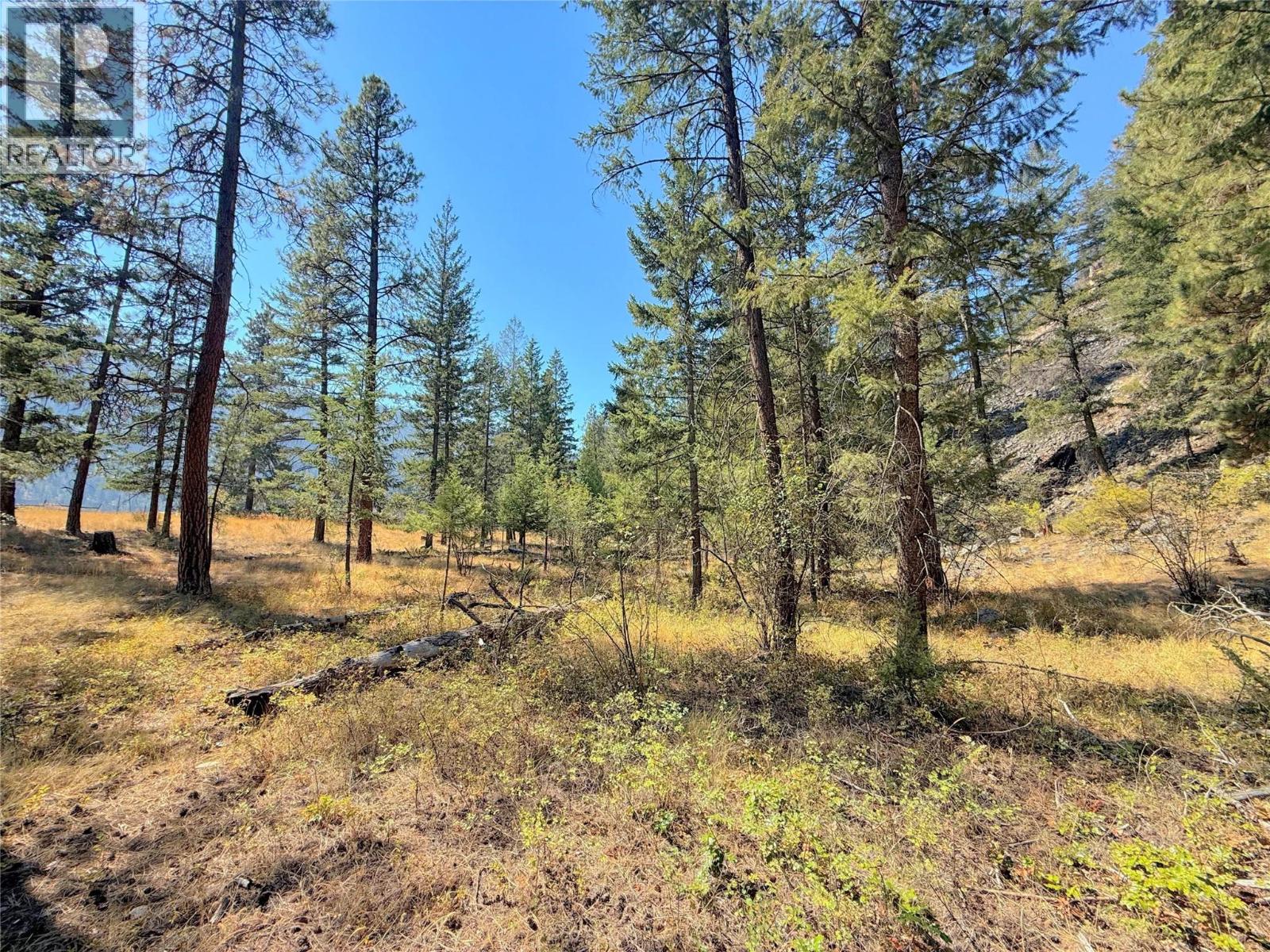 Lot 1 Old Hedley Road Property Photo 5