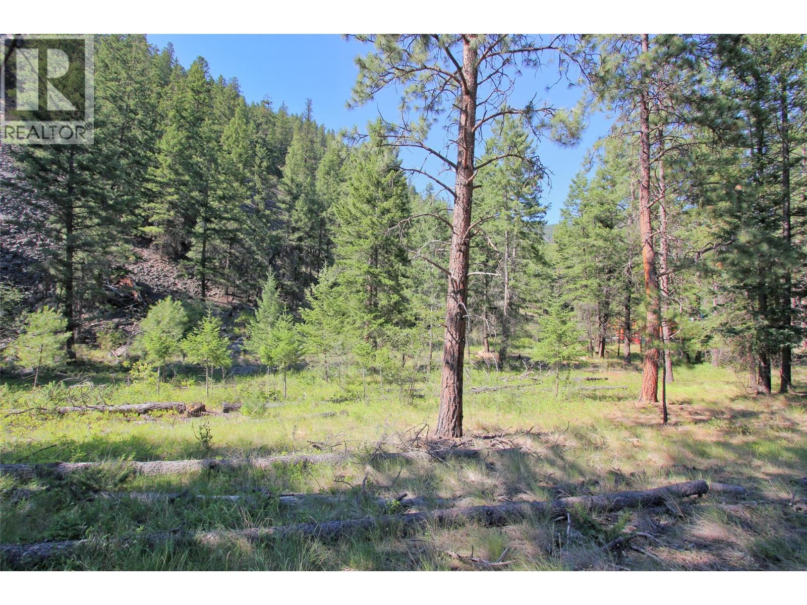 Lot 1 Old Hedley Road Property Photo 19