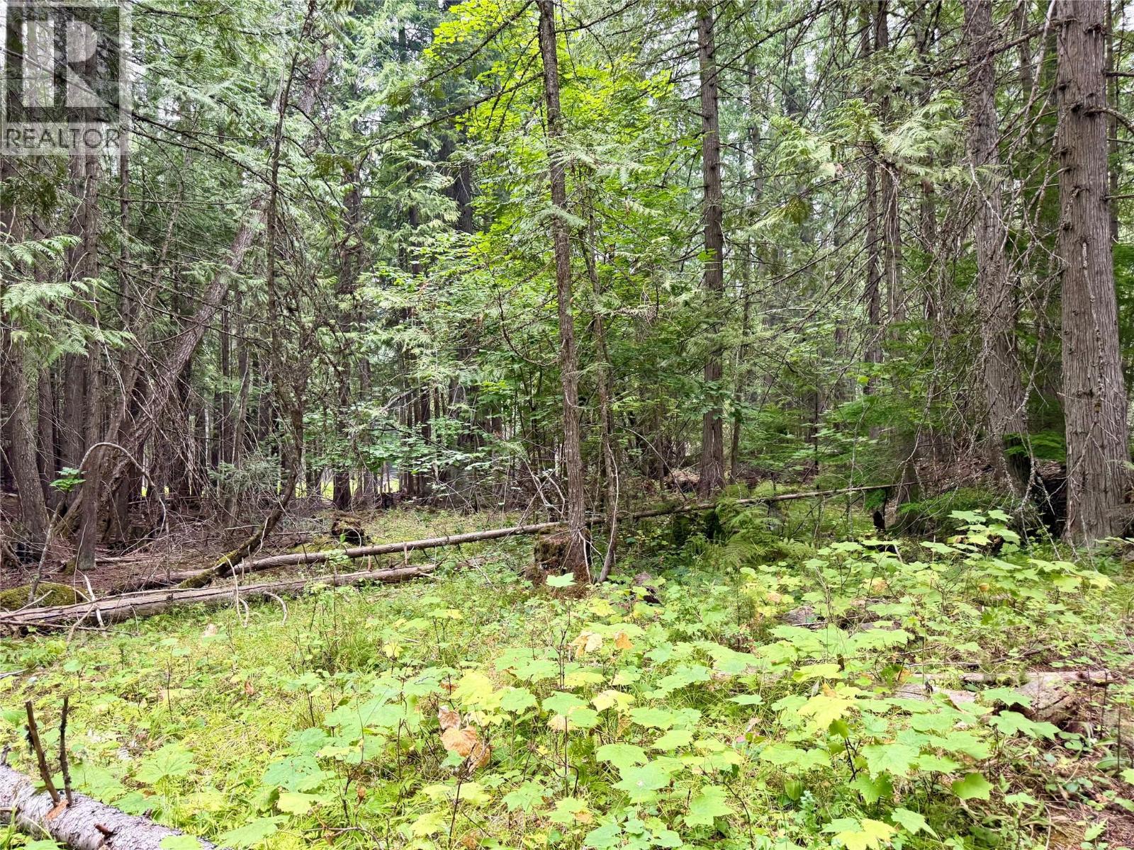 Harrop-procter Road Lot# E Property Photo 1