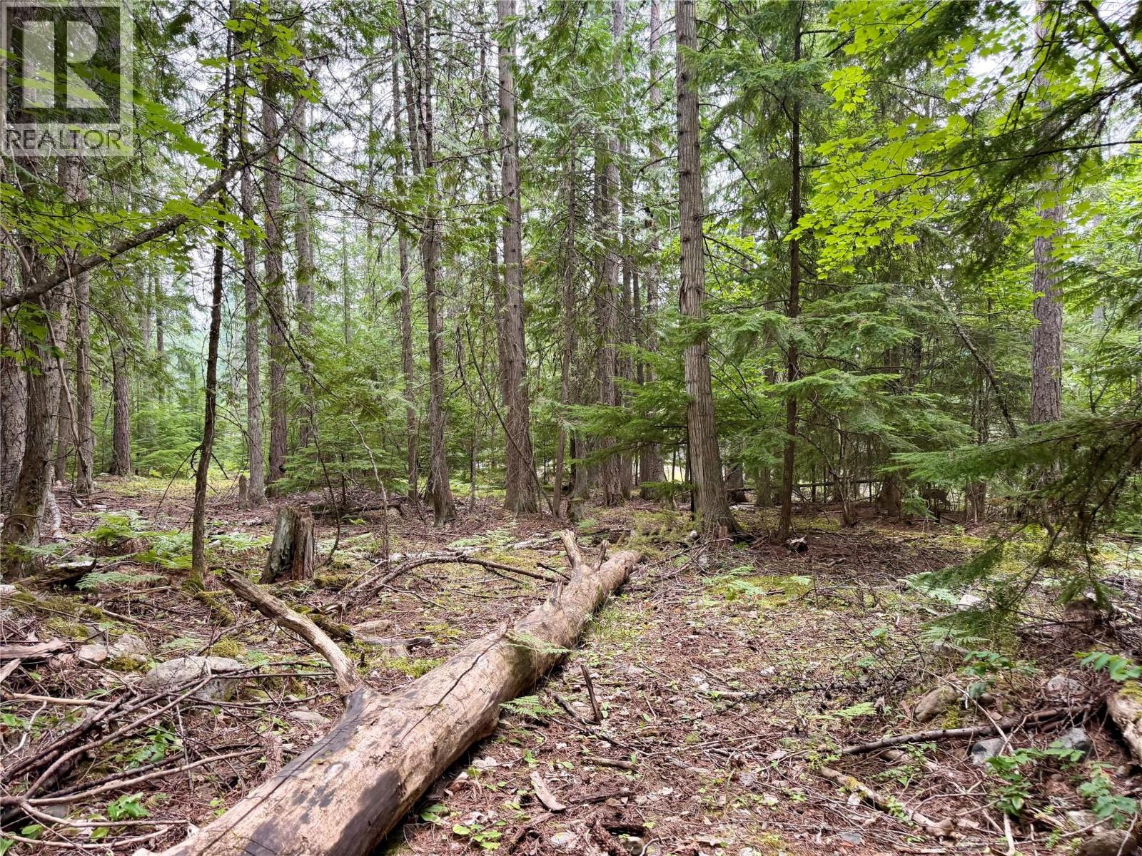 Harrop-procter Road Lot# E Property Photo 7