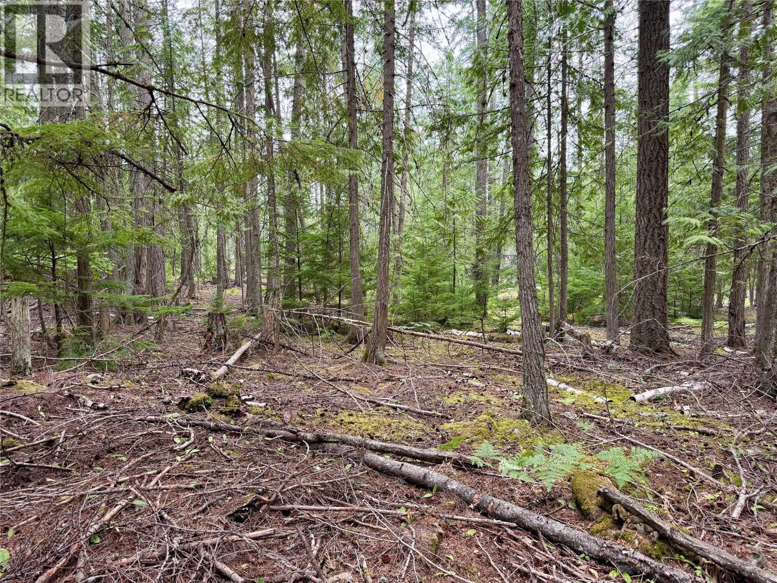Harrop-procter Road Lot# E Property Photo 8
