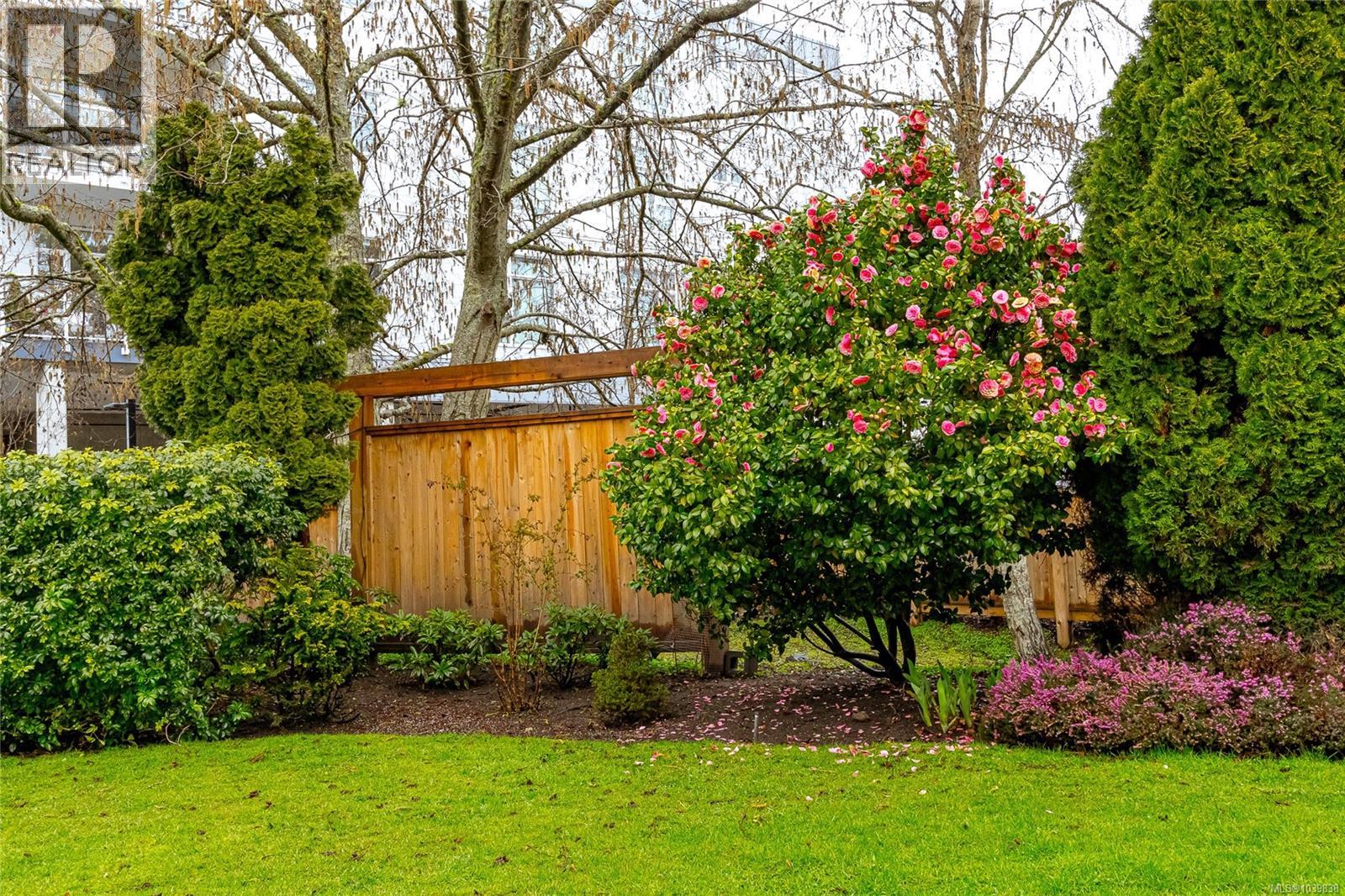 14 5110 Cordova Bay Rd Property Photo 24