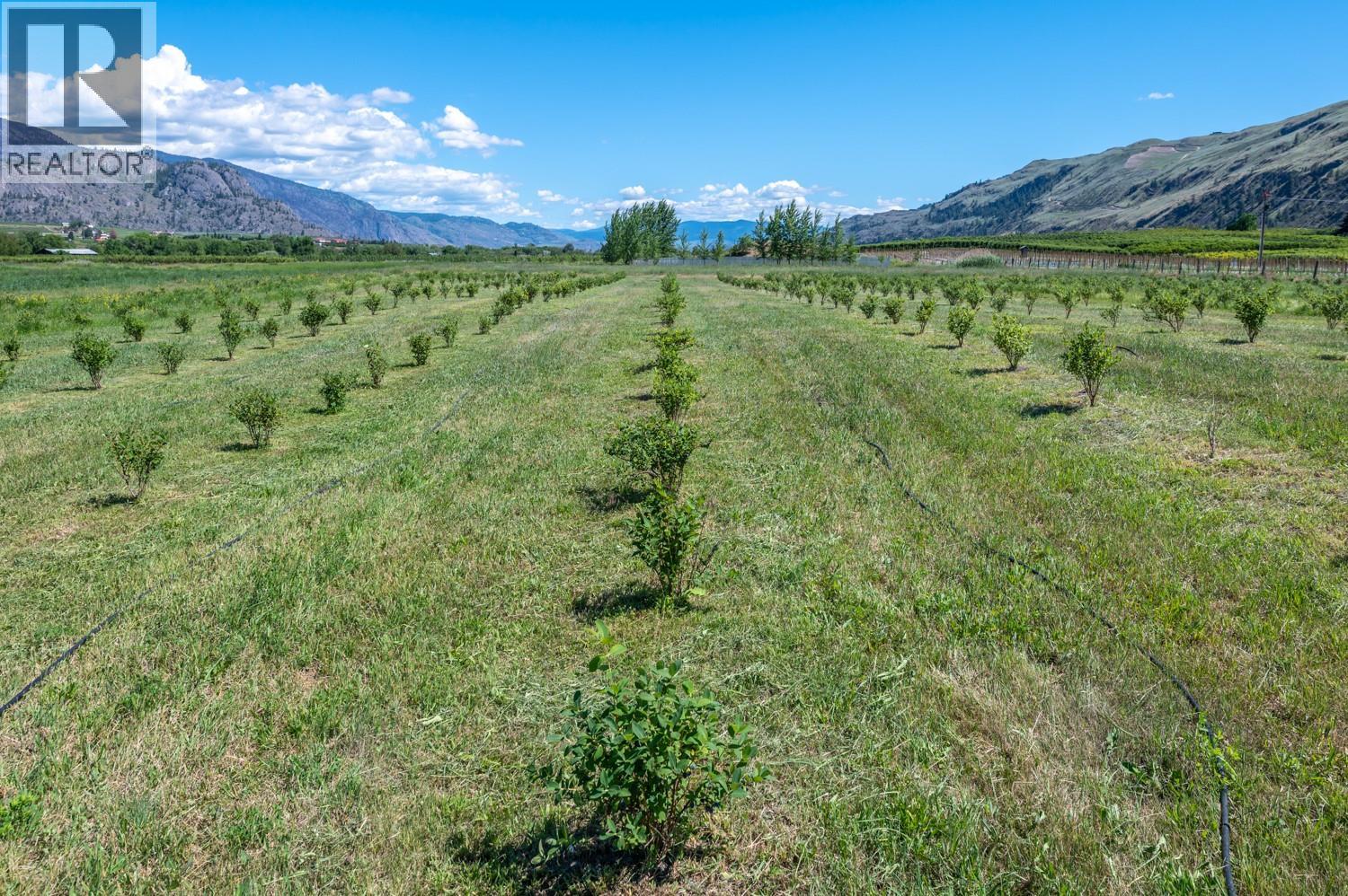 294 Road 18 Road Property Photo 35