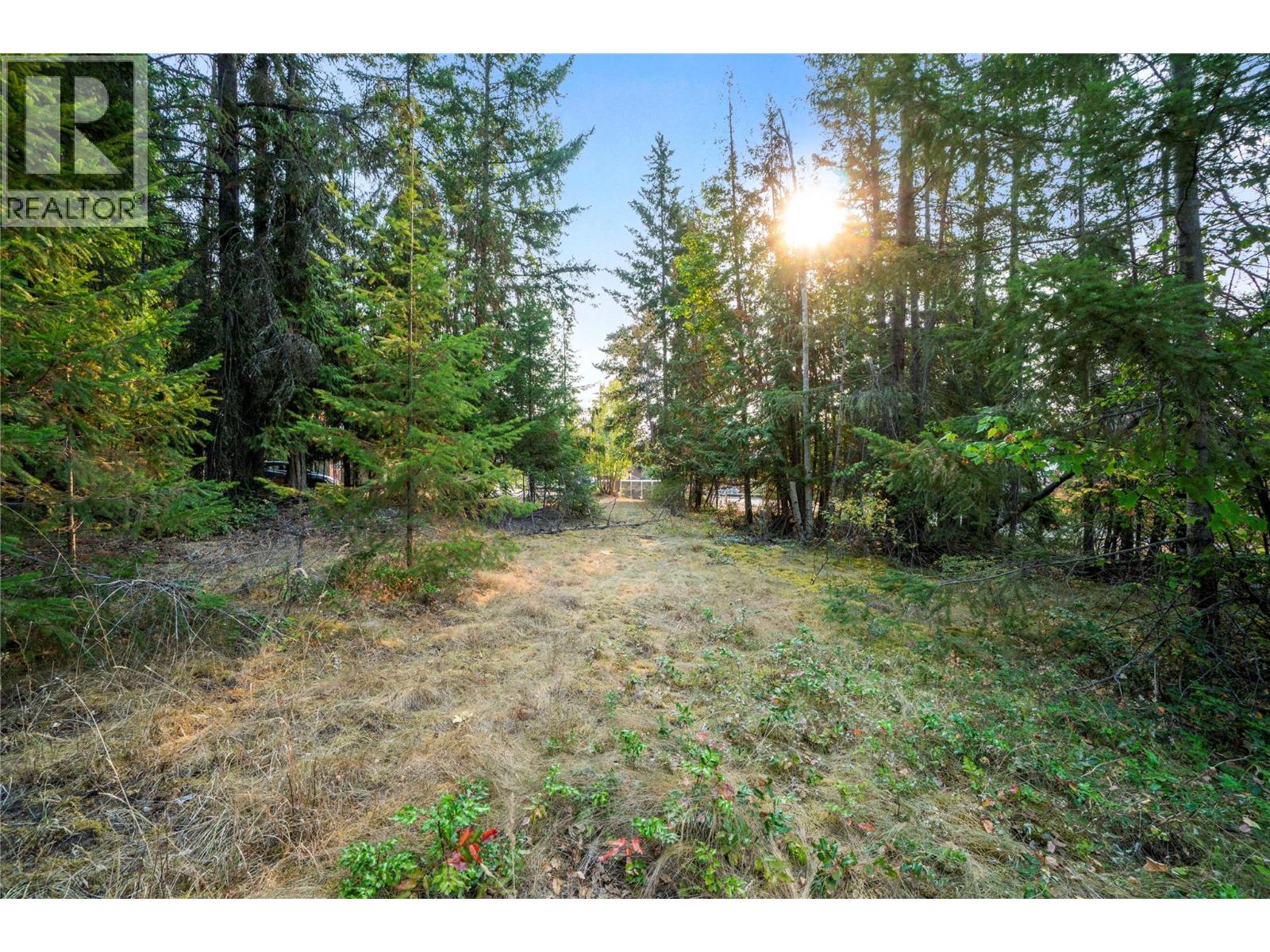 7690 Squilax-anglemont Road Property Photo 9