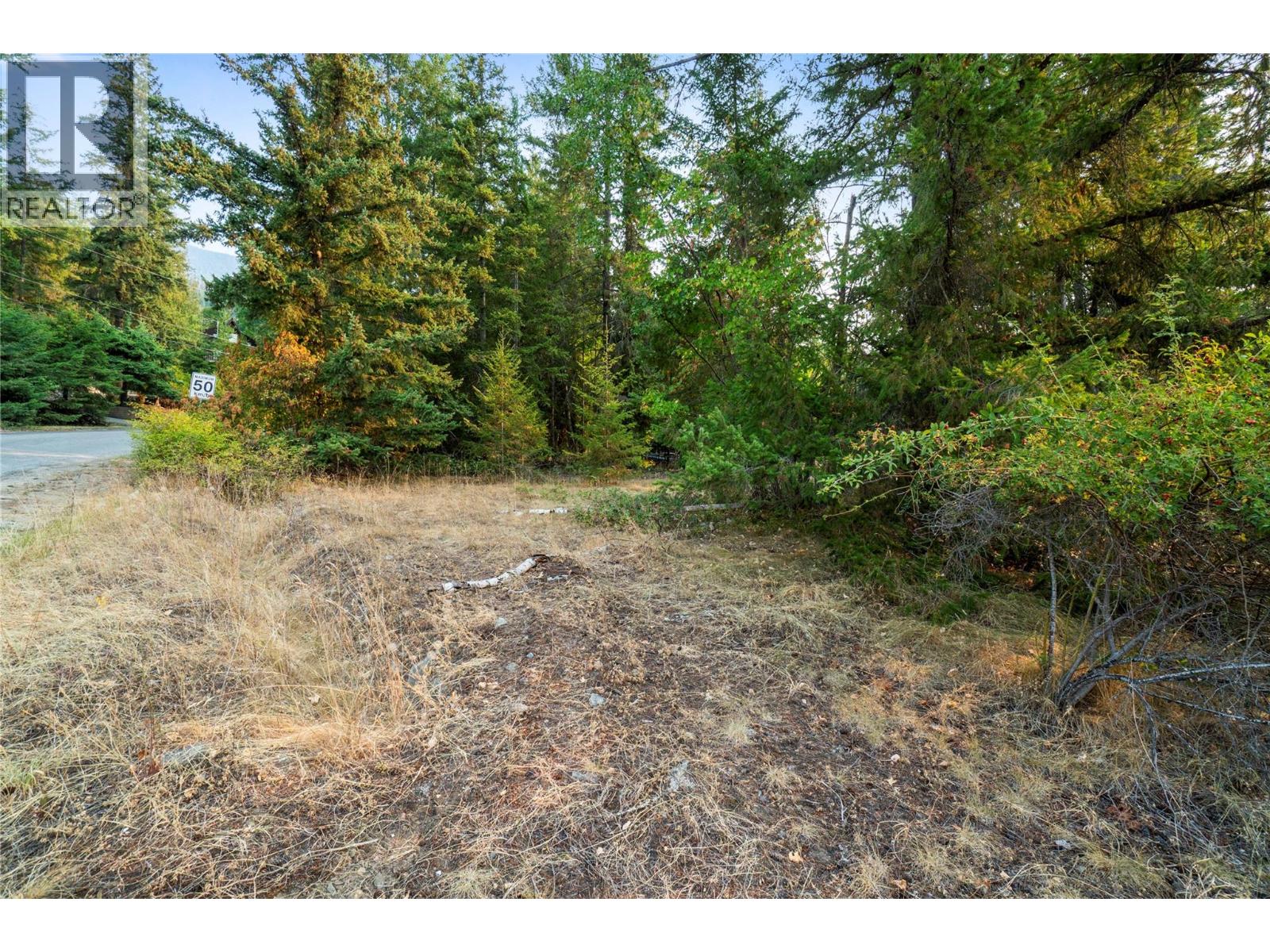 7690 Squilax-anglemont Road Property Photo 10