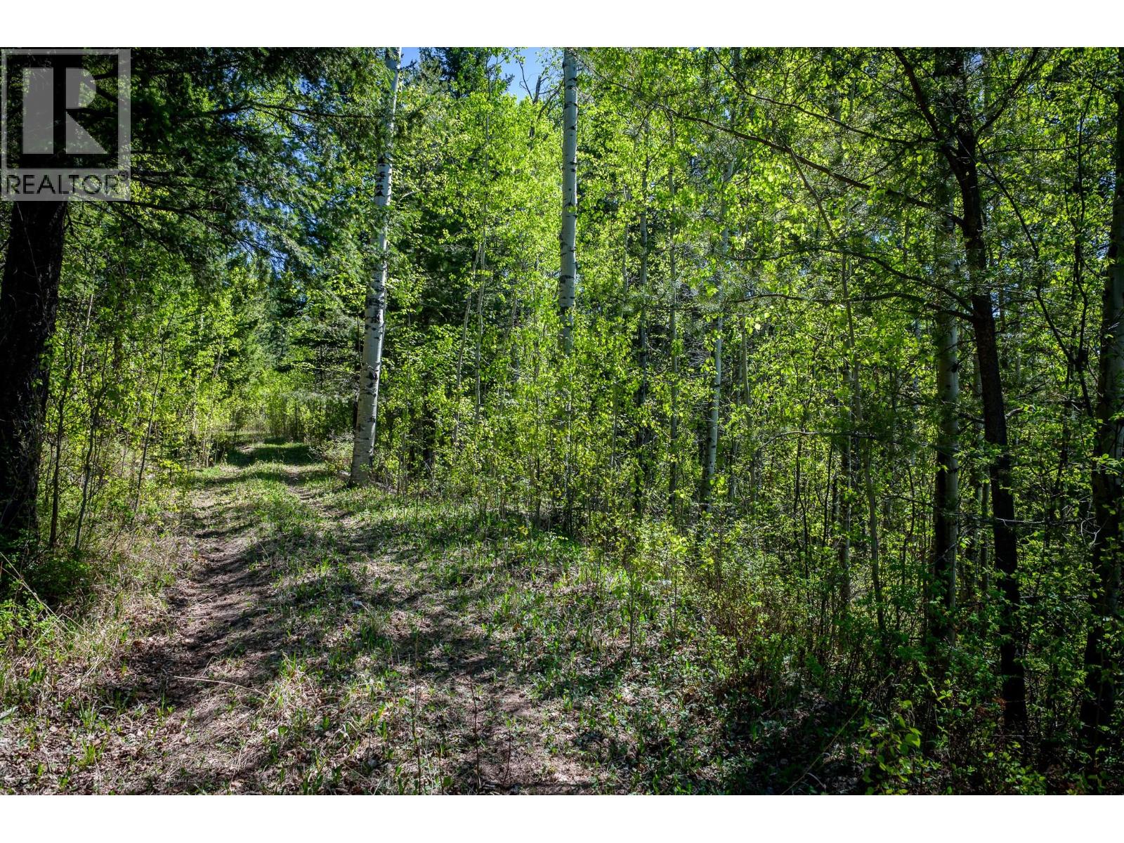 2780 Silver Birch Lane Property Photo 4