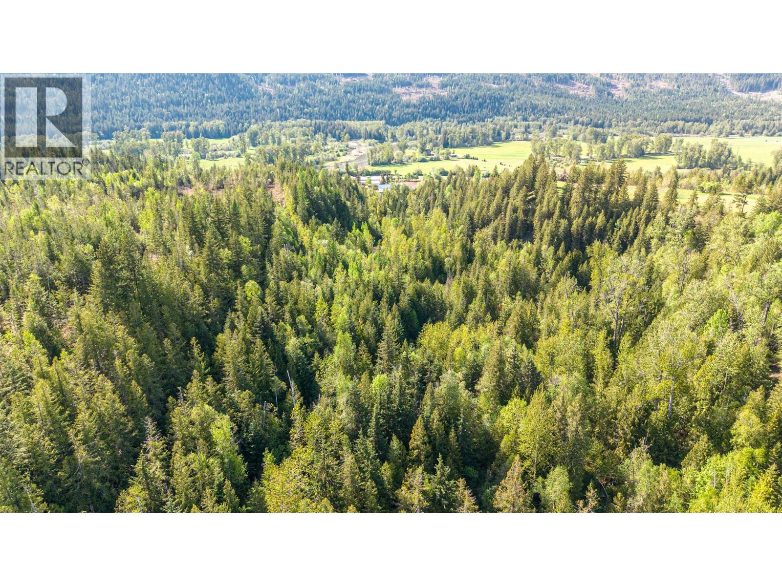 81 Acres Sigalet Road Property Photo 9