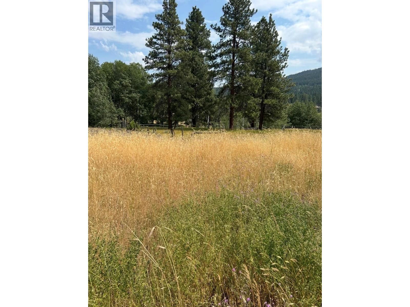 895 Coldwater Road Property Photo 77