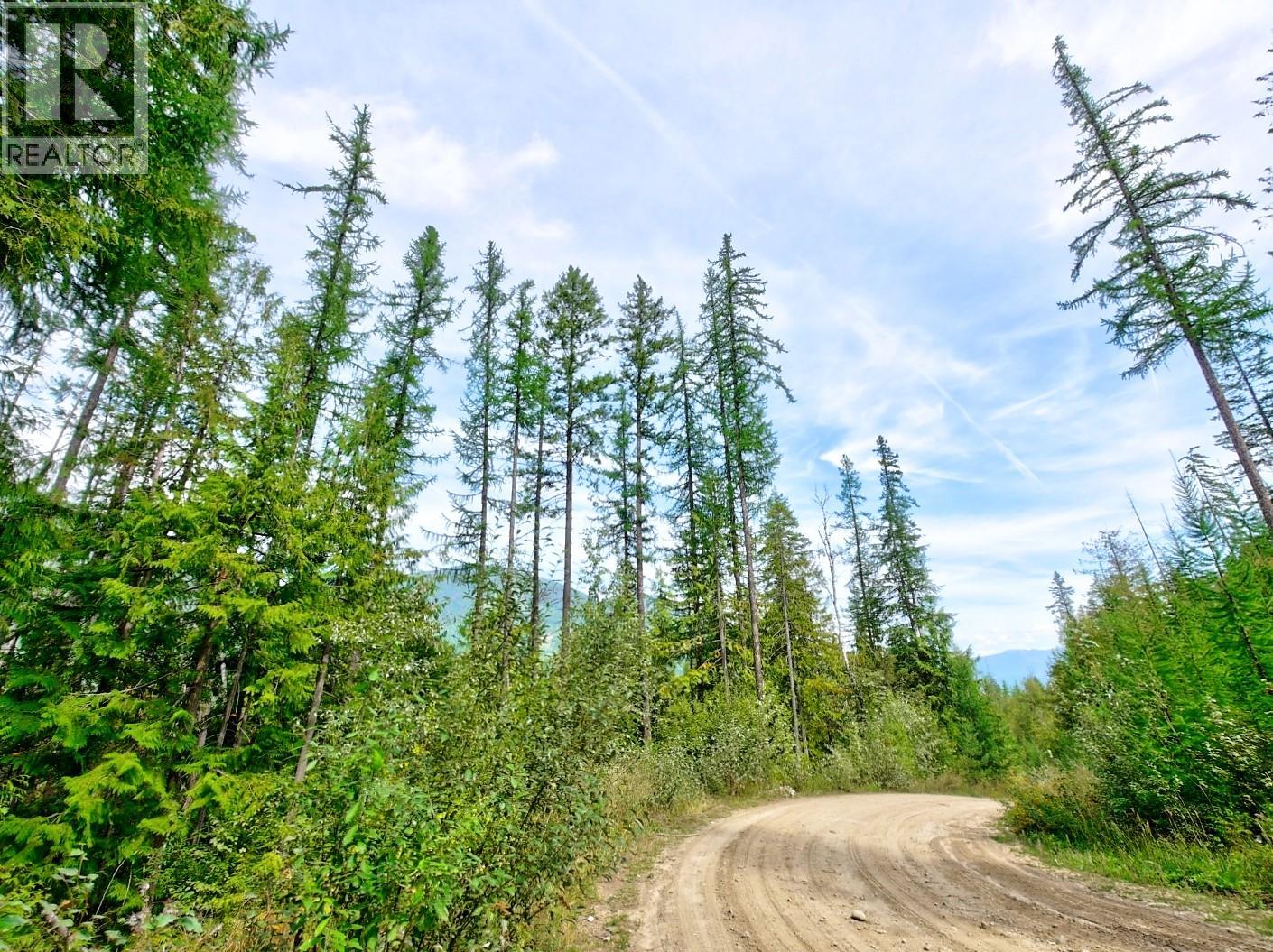 Lasca Creek Road Lot# 1 Property Photo 7