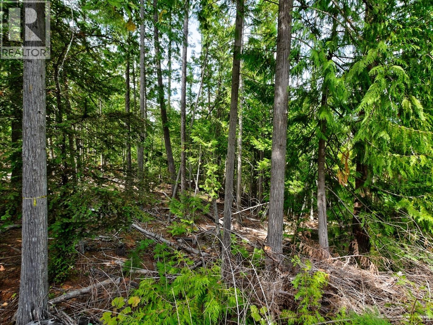 Lasca Creek Road Lot# 1 Property Photo 11