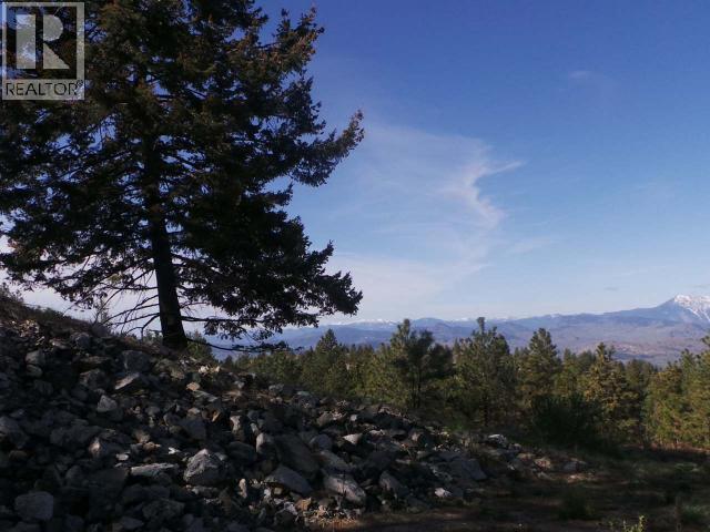 290 Mule Deer Drive Property Photo 4