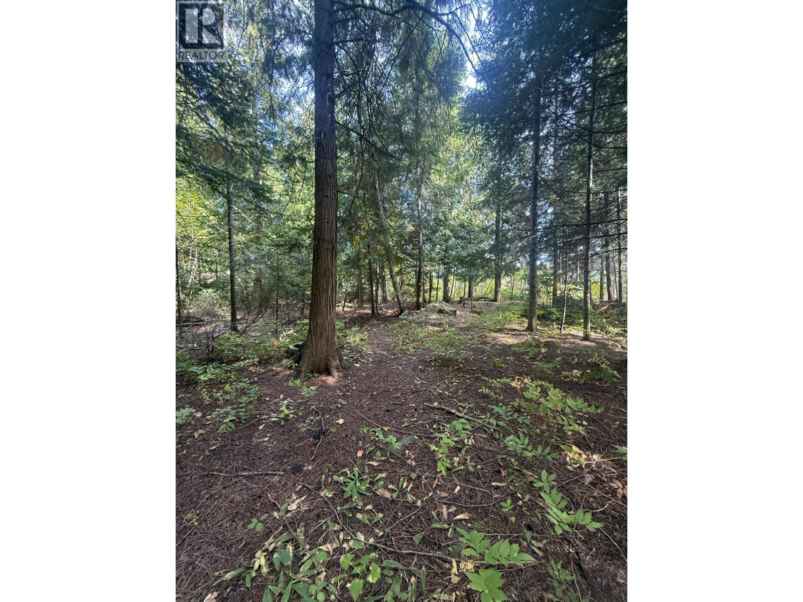 Dogwood Drive Lot# B Property Photo 4