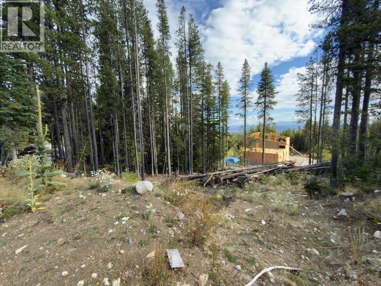 300 Cougar Road Property Photo 20