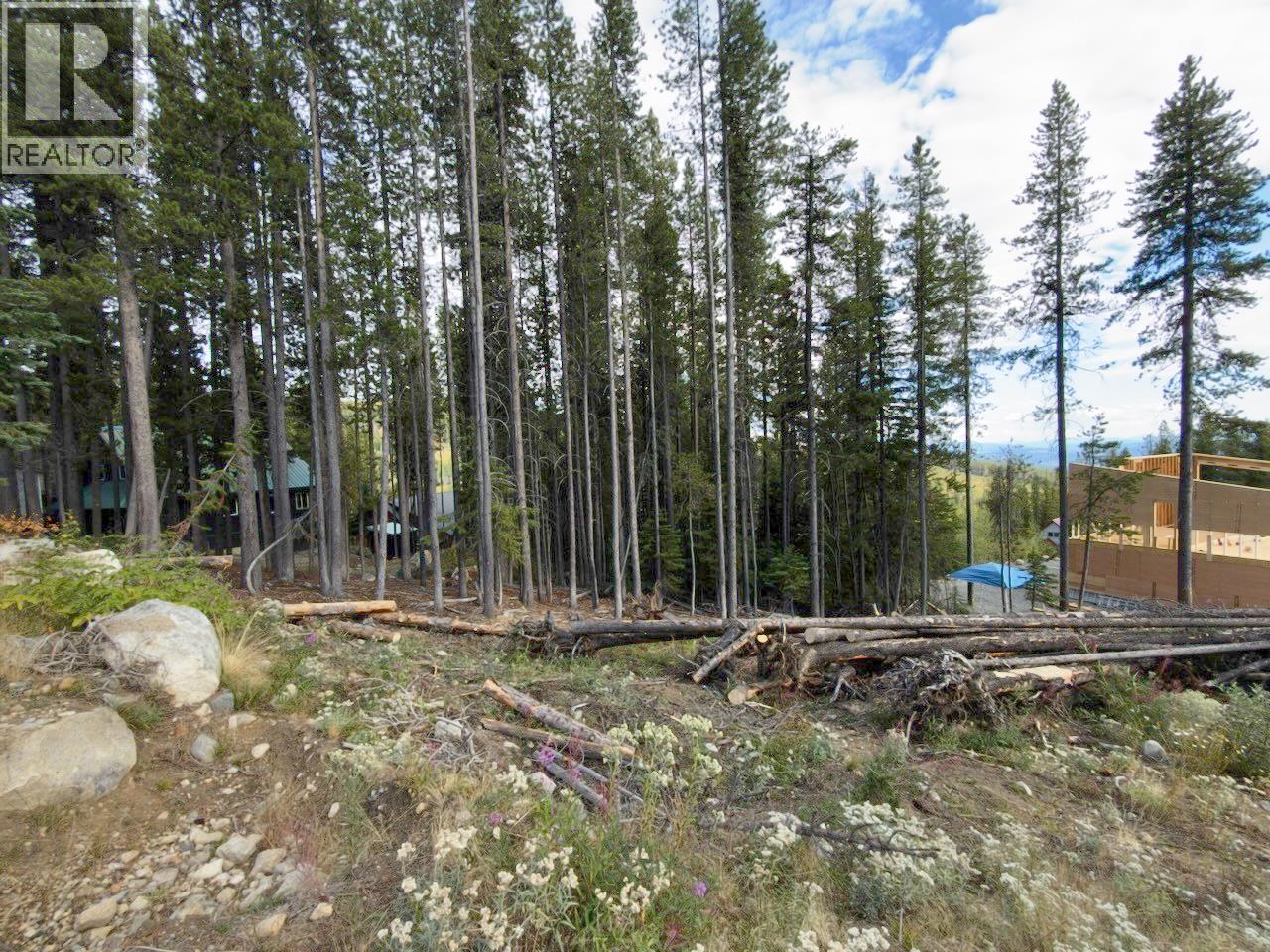 300 Cougar Road Property Photo 22