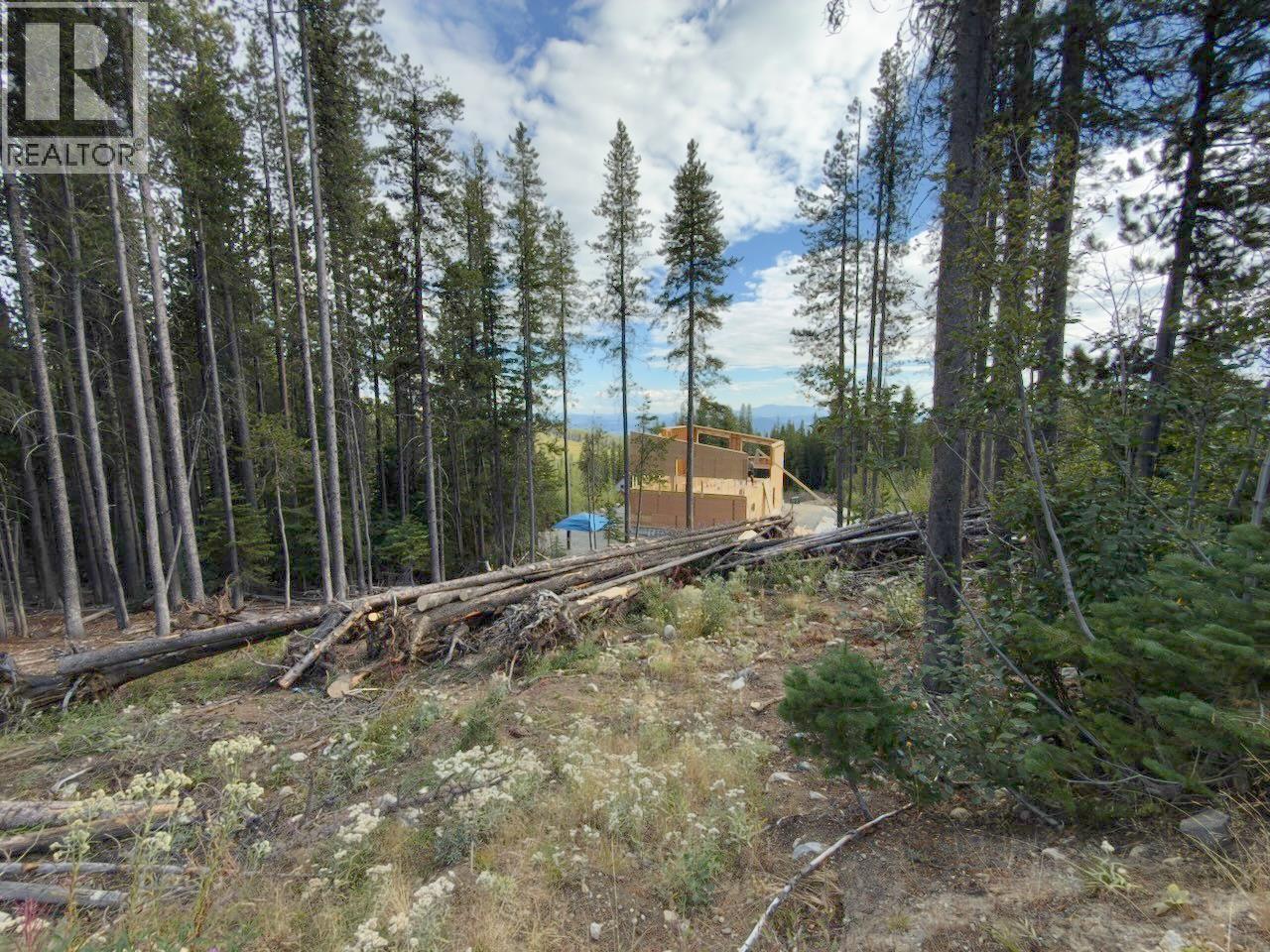300 Cougar Road Property Photo 23