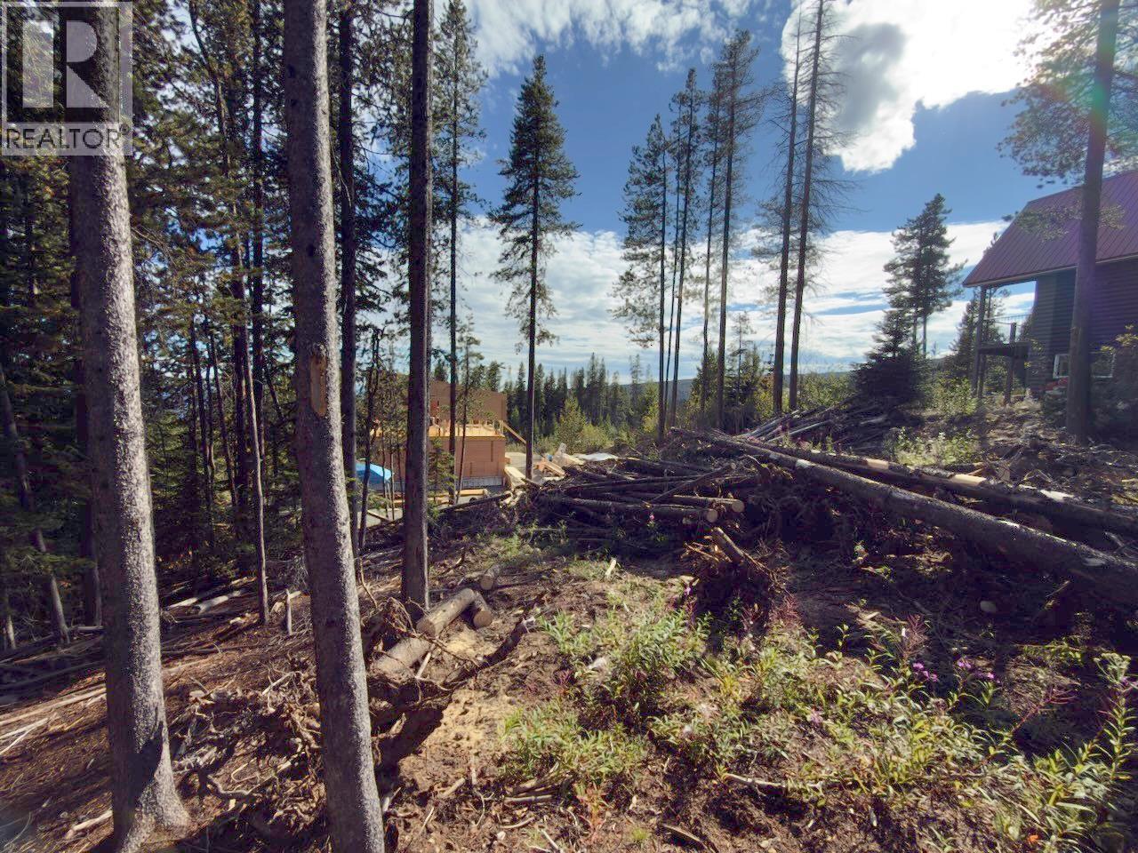 300 Cougar Road Property Photo 25