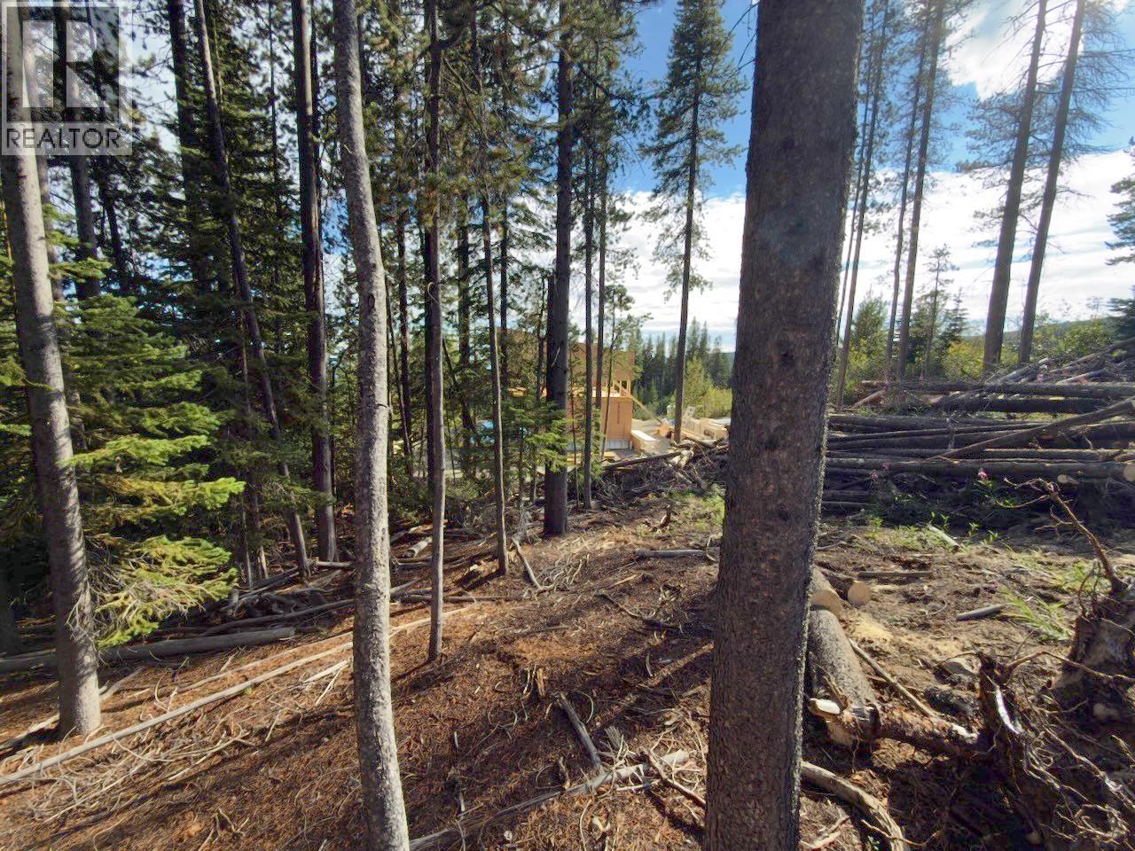 300 Cougar Road Property Photo 26