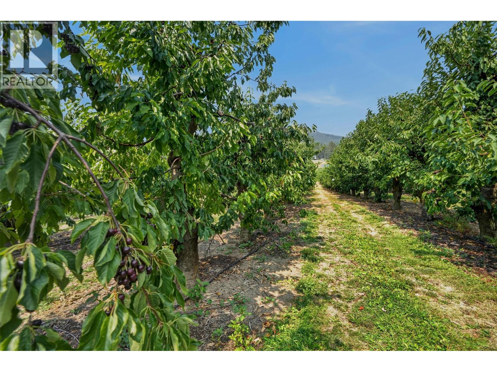 3016 Highway 3 Property Photo 29