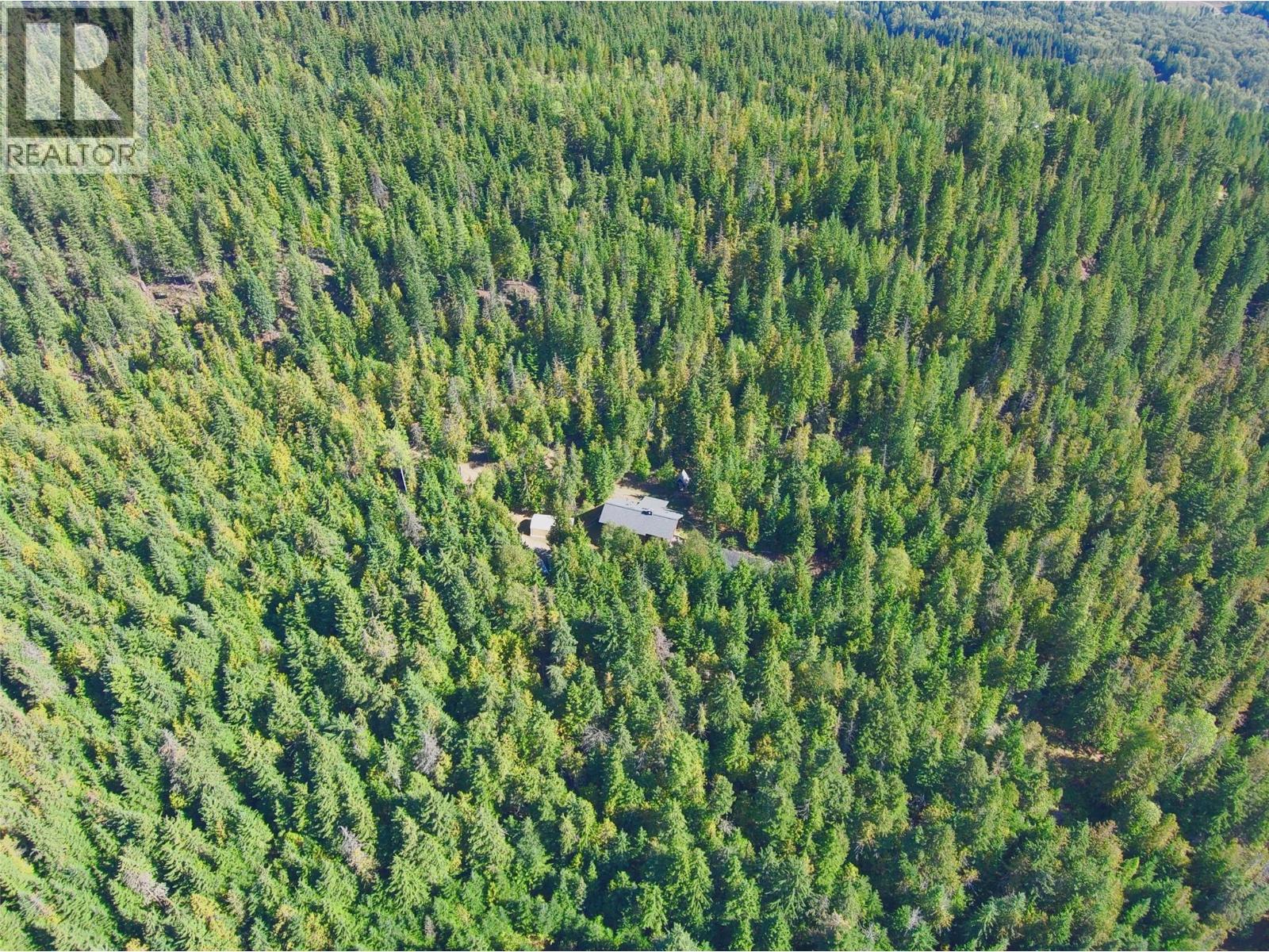 282 Duncan Dam Site Haul Road Property Photo 85