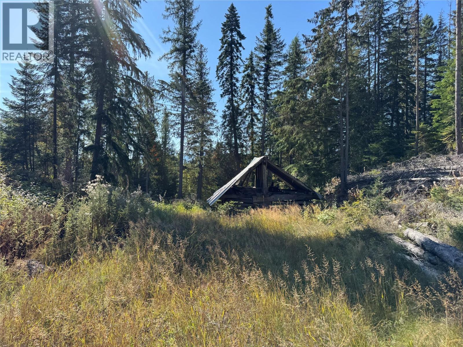 Dl 12547 Loon Lake Road Property Photo 10