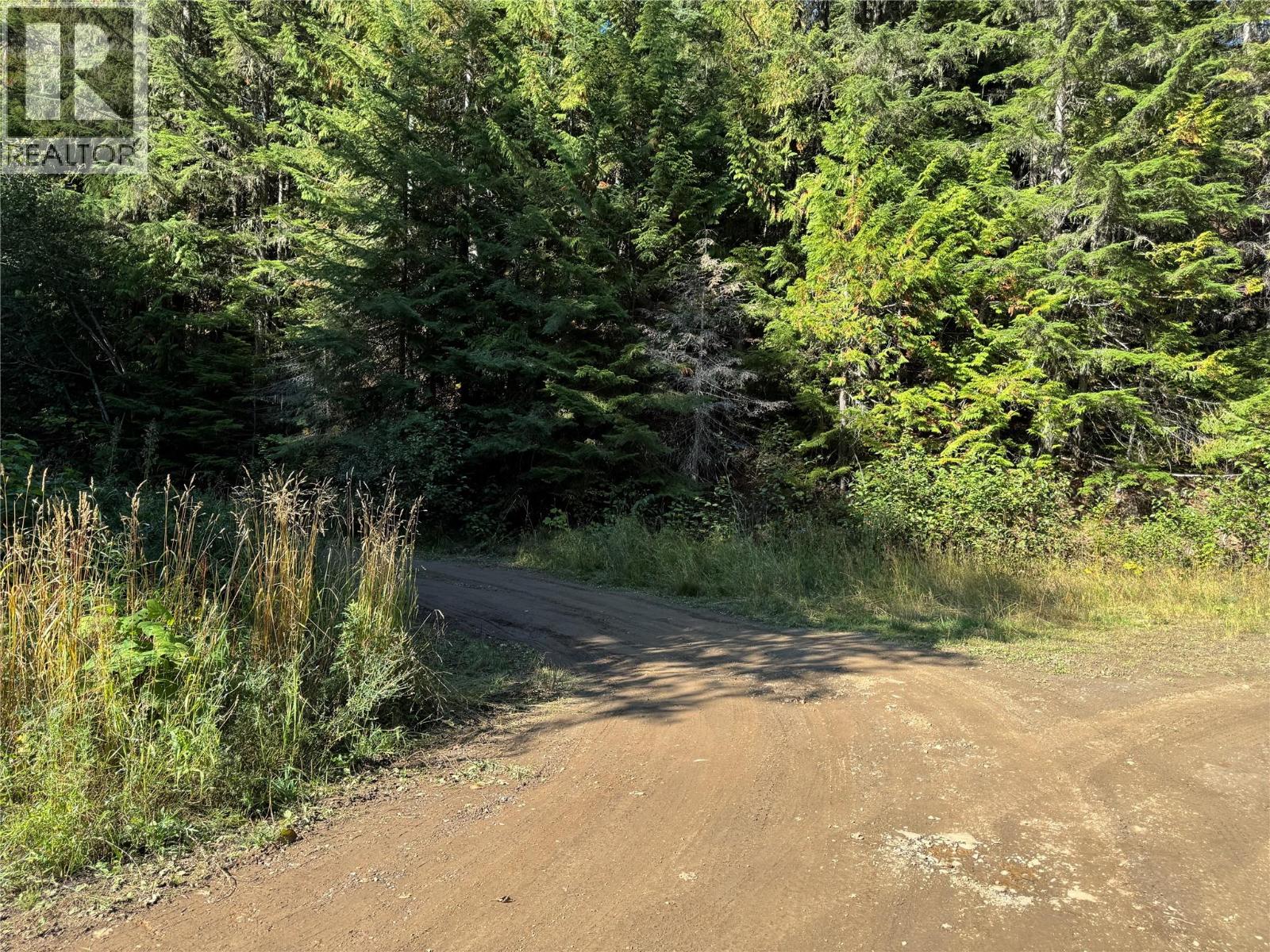 Dl 12547 Loon Lake Road Property Photo 11