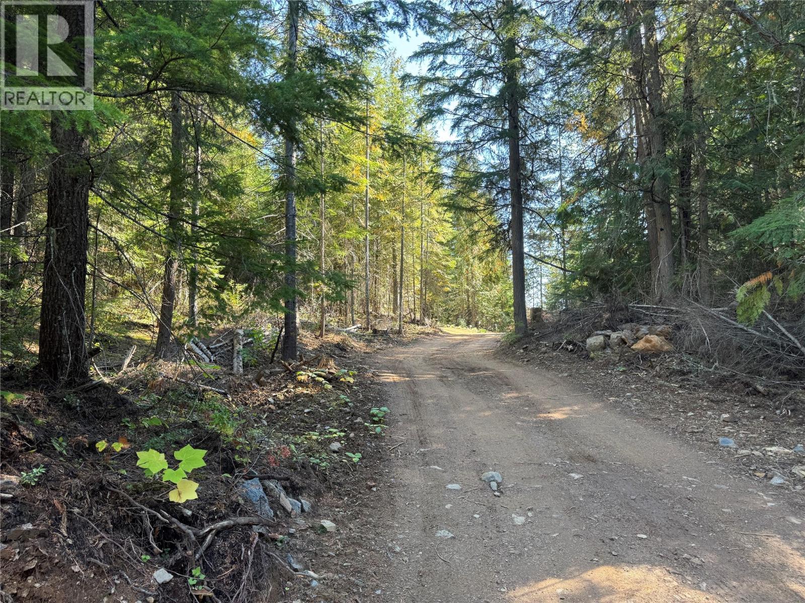 Dl 12547 Loon Lake Road Property Photo 12