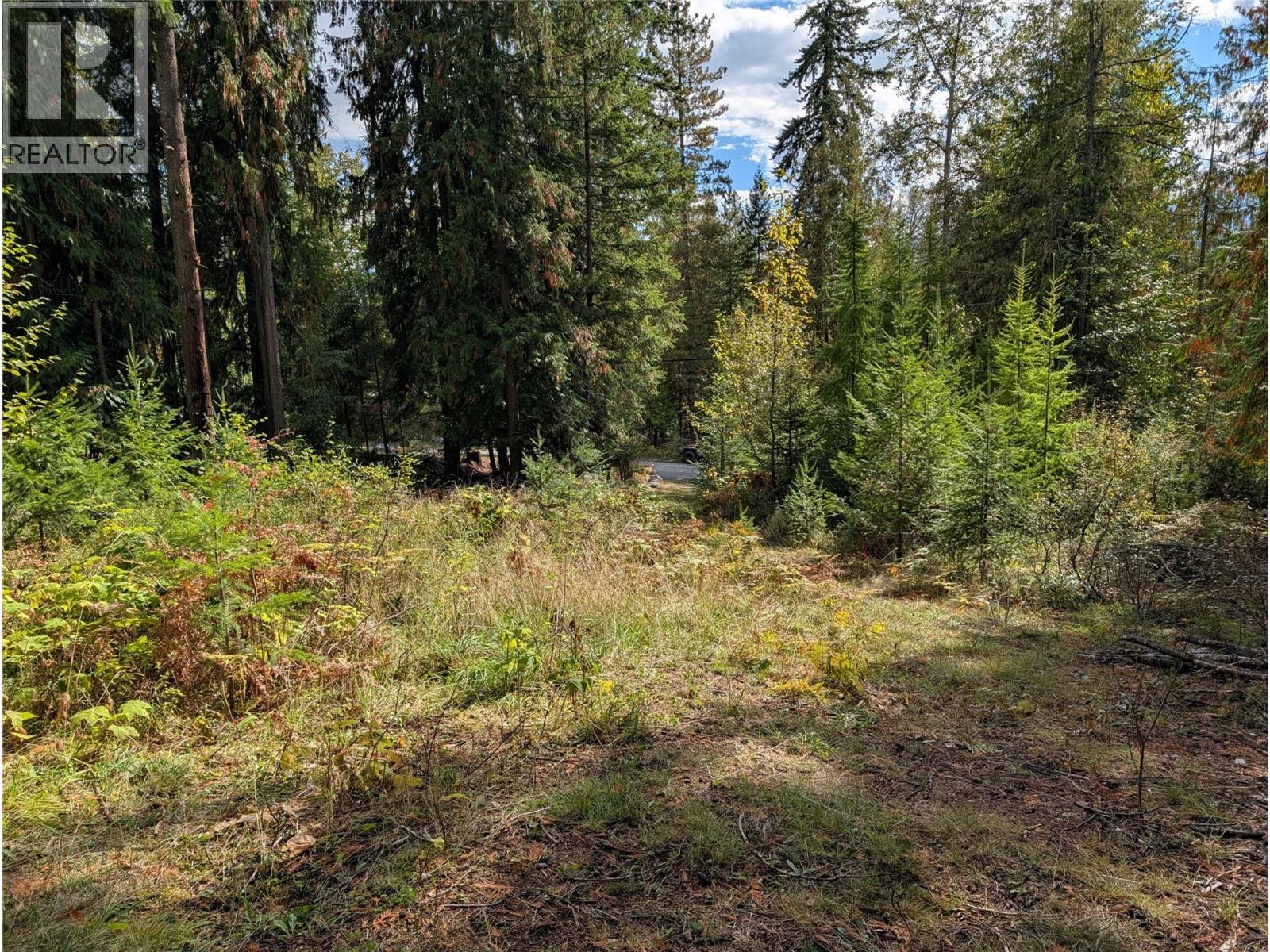 Vickers Trail Lot# 80 Property Photo 4