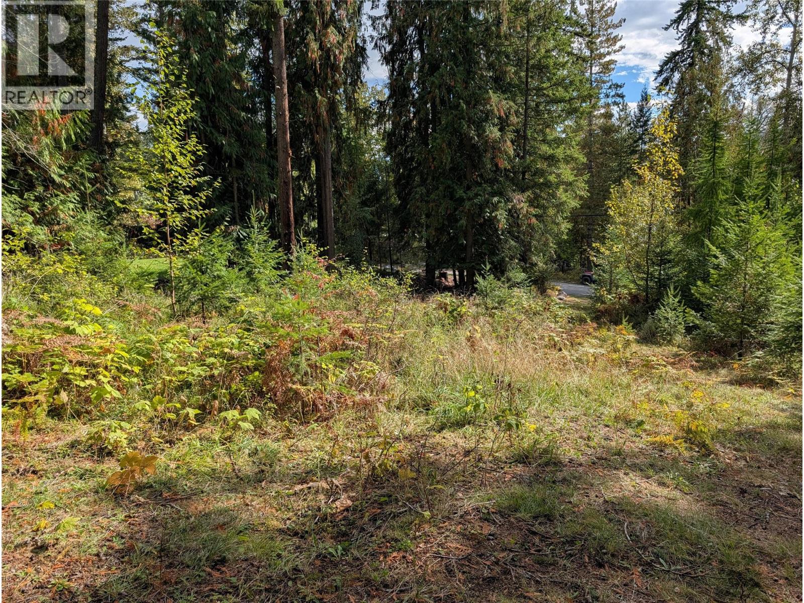 Vickers Trail Lot# 80 Property Photo 5