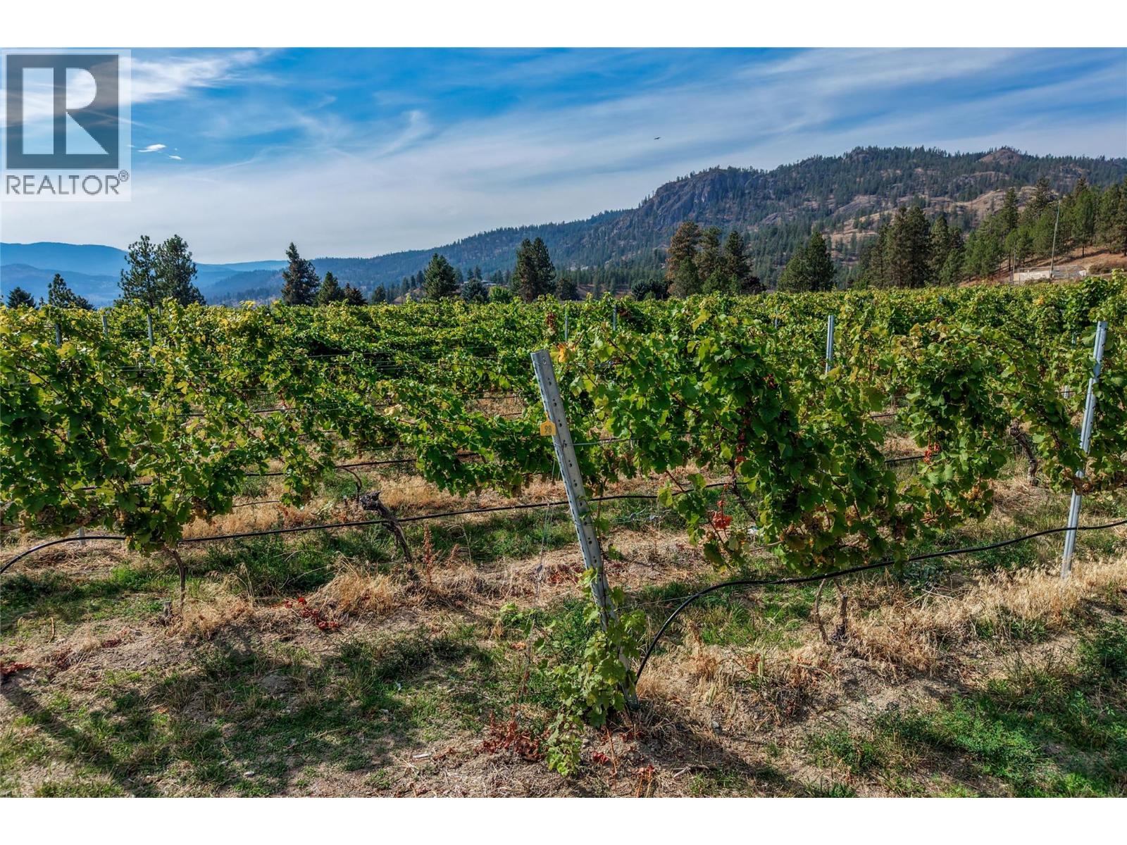 5355 Trepanier Bench Road Property Photo 12