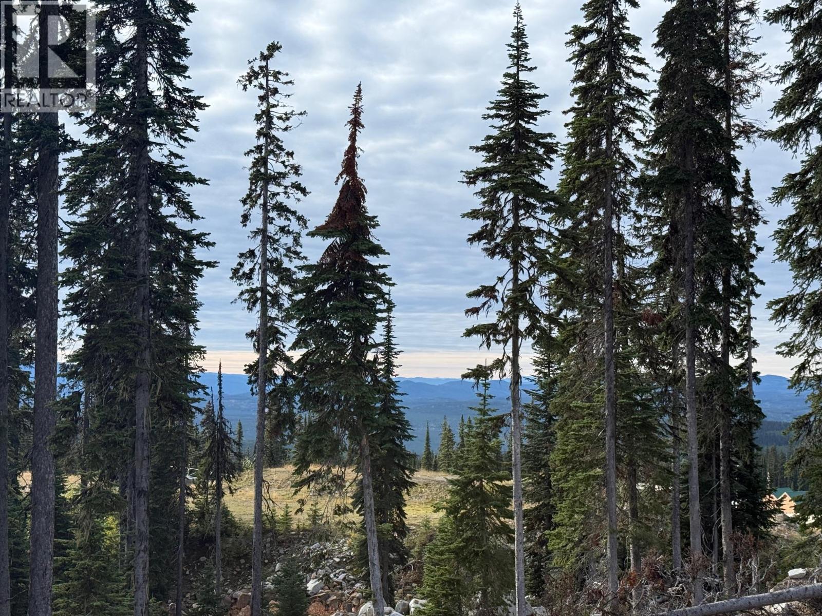Black Forest Way Lot# 2 Property Photo 7