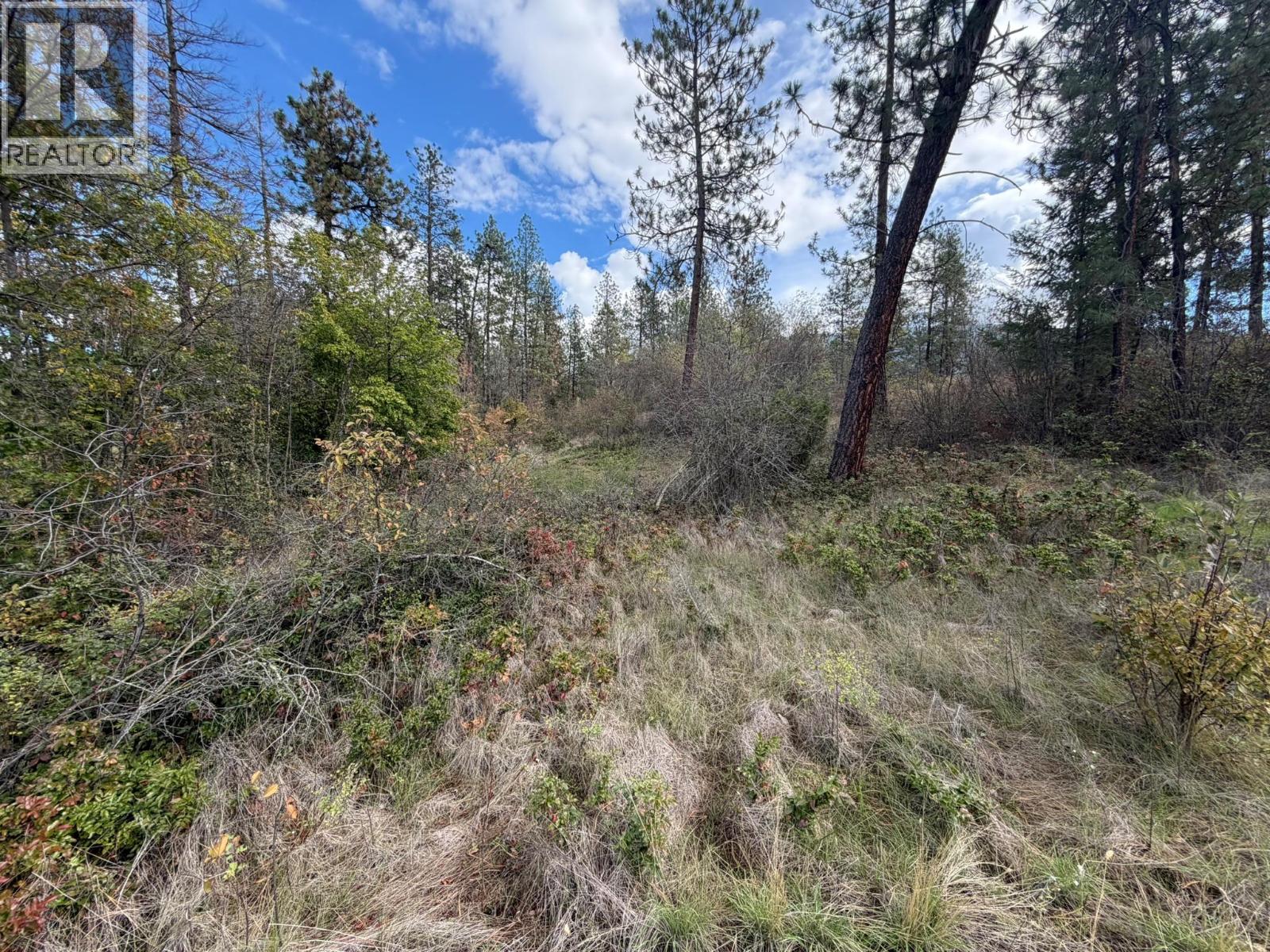 5440 Silver Star Road Property Photo 42