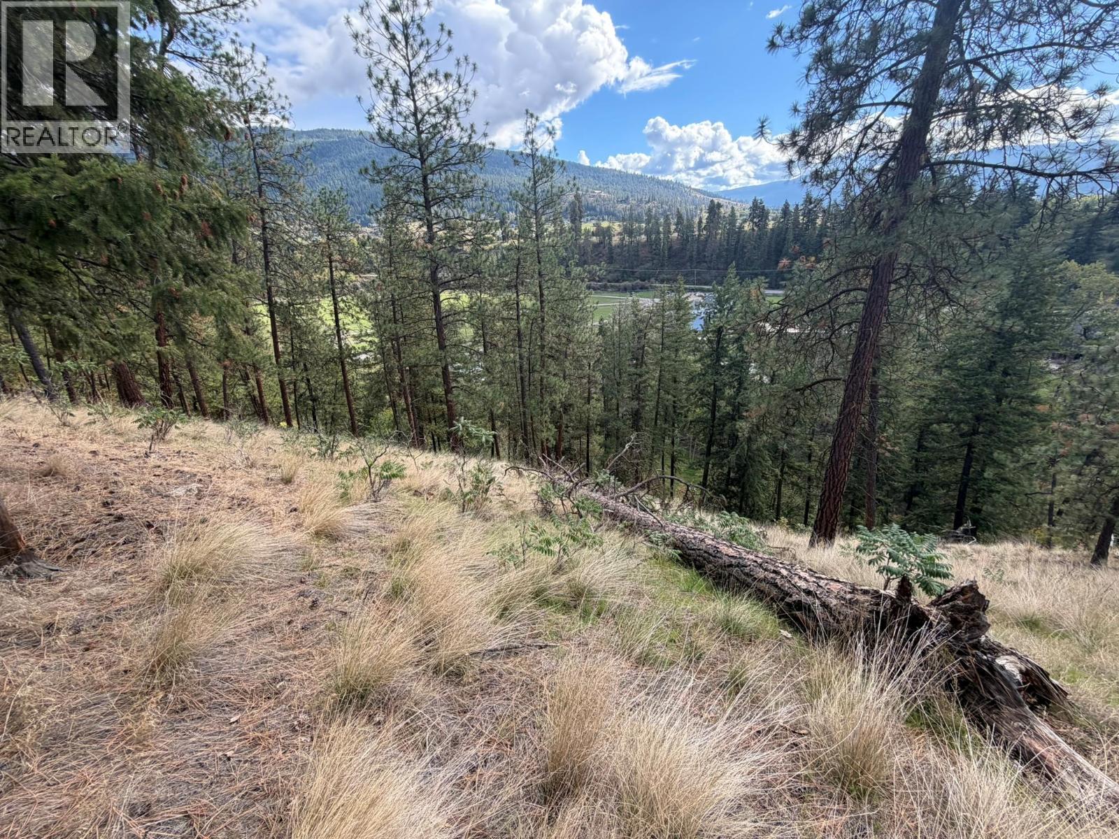 5440 Silver Star Road Property Photo 53